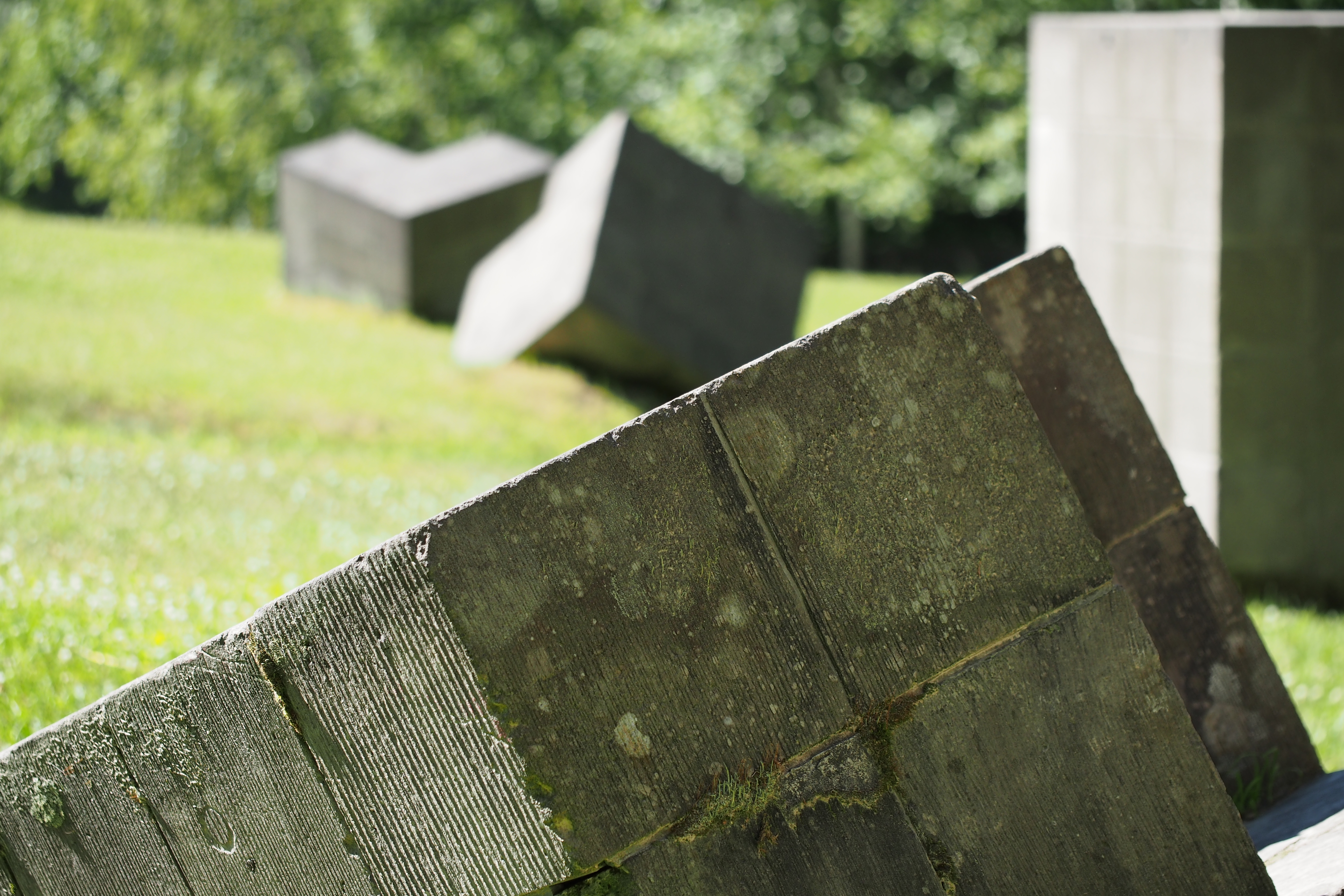 背景の葉っぱのボケのエッジがちょっと強い感じがする。手前の石のボケ具合はそんなでもないから、あまり気にしなくていいのかもしれないが。M.ZUIKO DIGITAL ED 60mm F2.8 Macro / 1/800秒 / F2.8 / 0EV / ISO200 / 絞り優先AE / WB：晴天 / 60mm