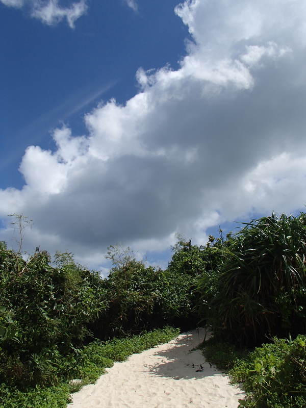 駐車場に車を停めて海を目指して歩く……だけで気持ちが良くなる青い空！