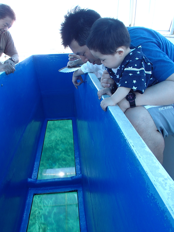 船底がガラスなので覗き込むようにして水中の様子を楽しめます