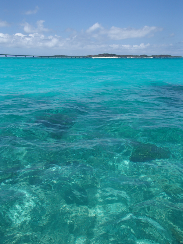 窓を開ければこんな開放感ある景色が味わえます