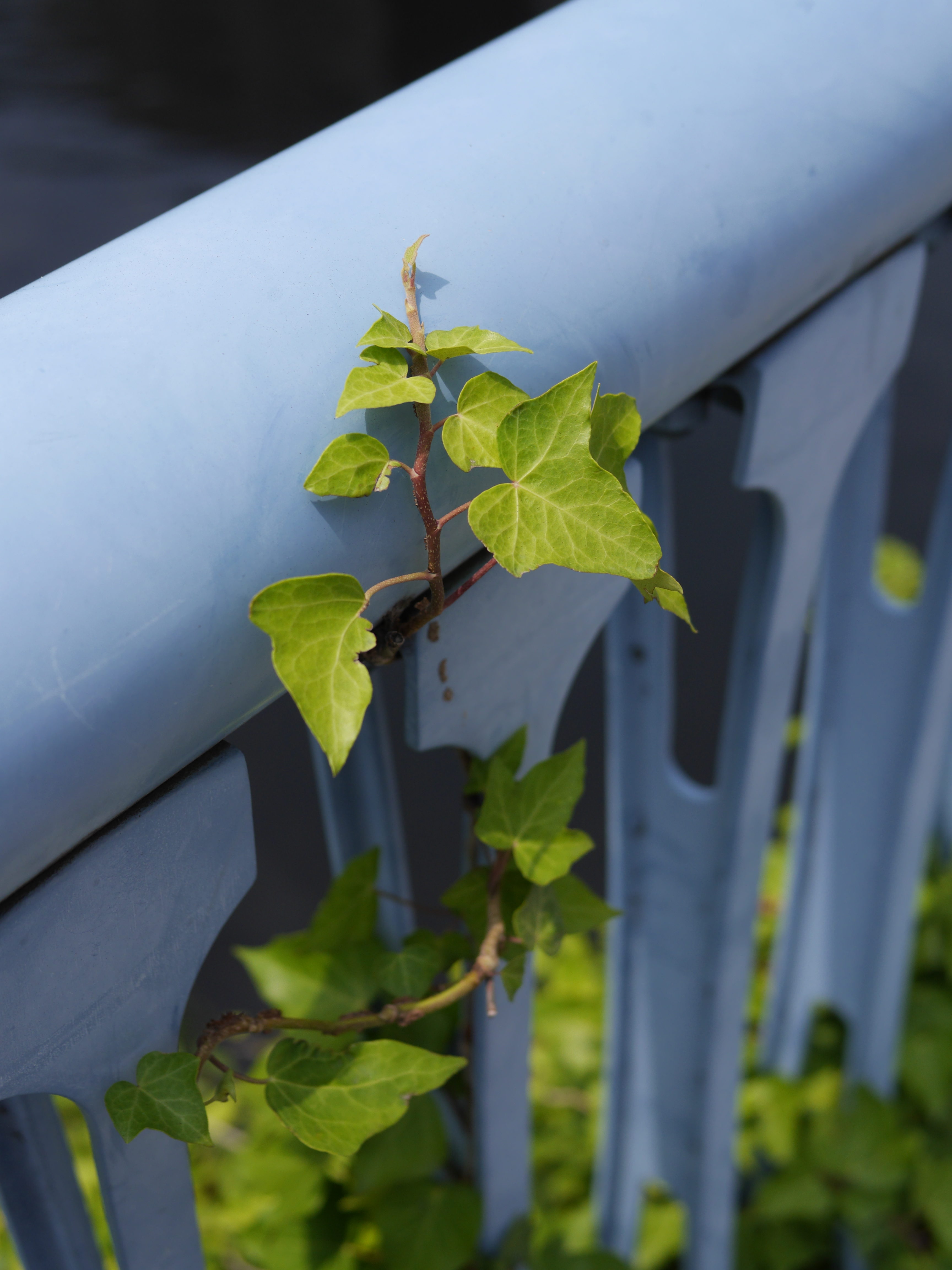 DMC-GH3 / 1/4,000秒 / F2.8 / -0.7EV / ISO200 / 絞り優先AE / WB：オート / 25mm