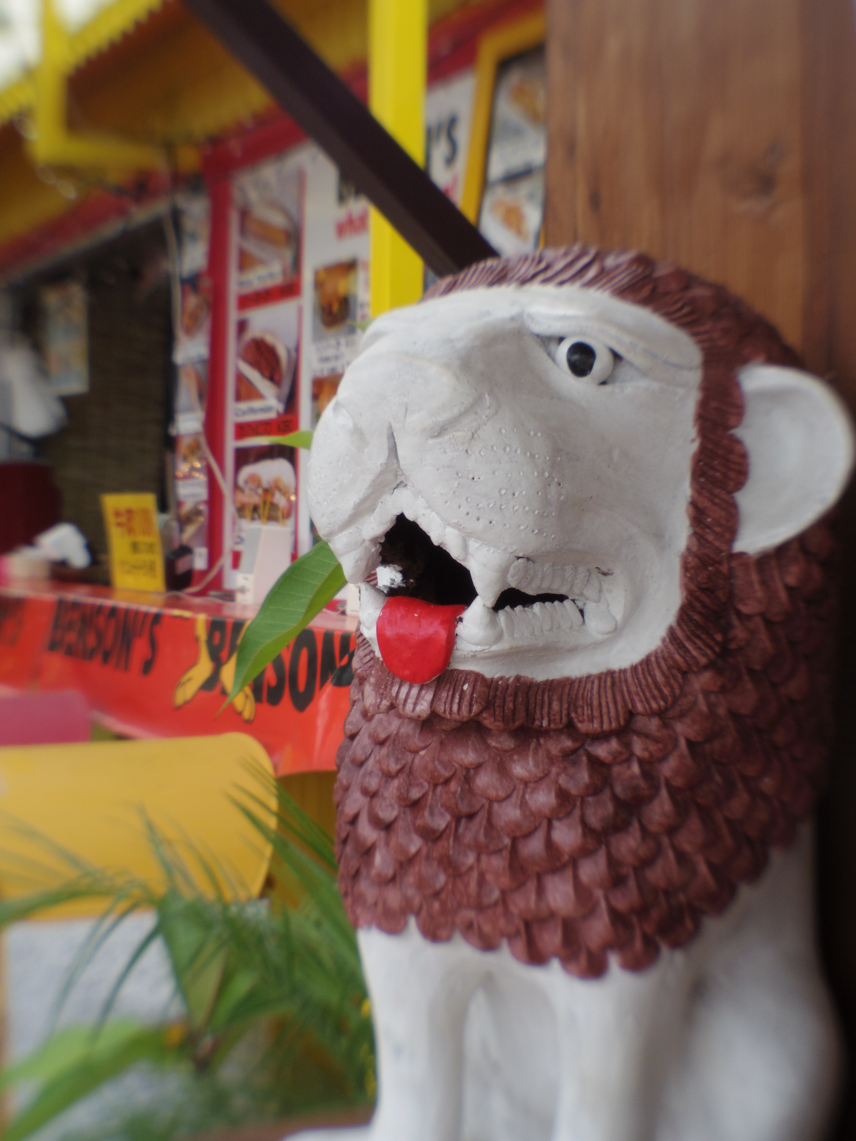 ピントは赤い舌です。これもかなり近距離で撮影しています。07 MOUNT SHIELD LENS / 1/100秒 / F9 / 0EV / ISO200 / 絞り優先AE / WB：オート / 11.5mm