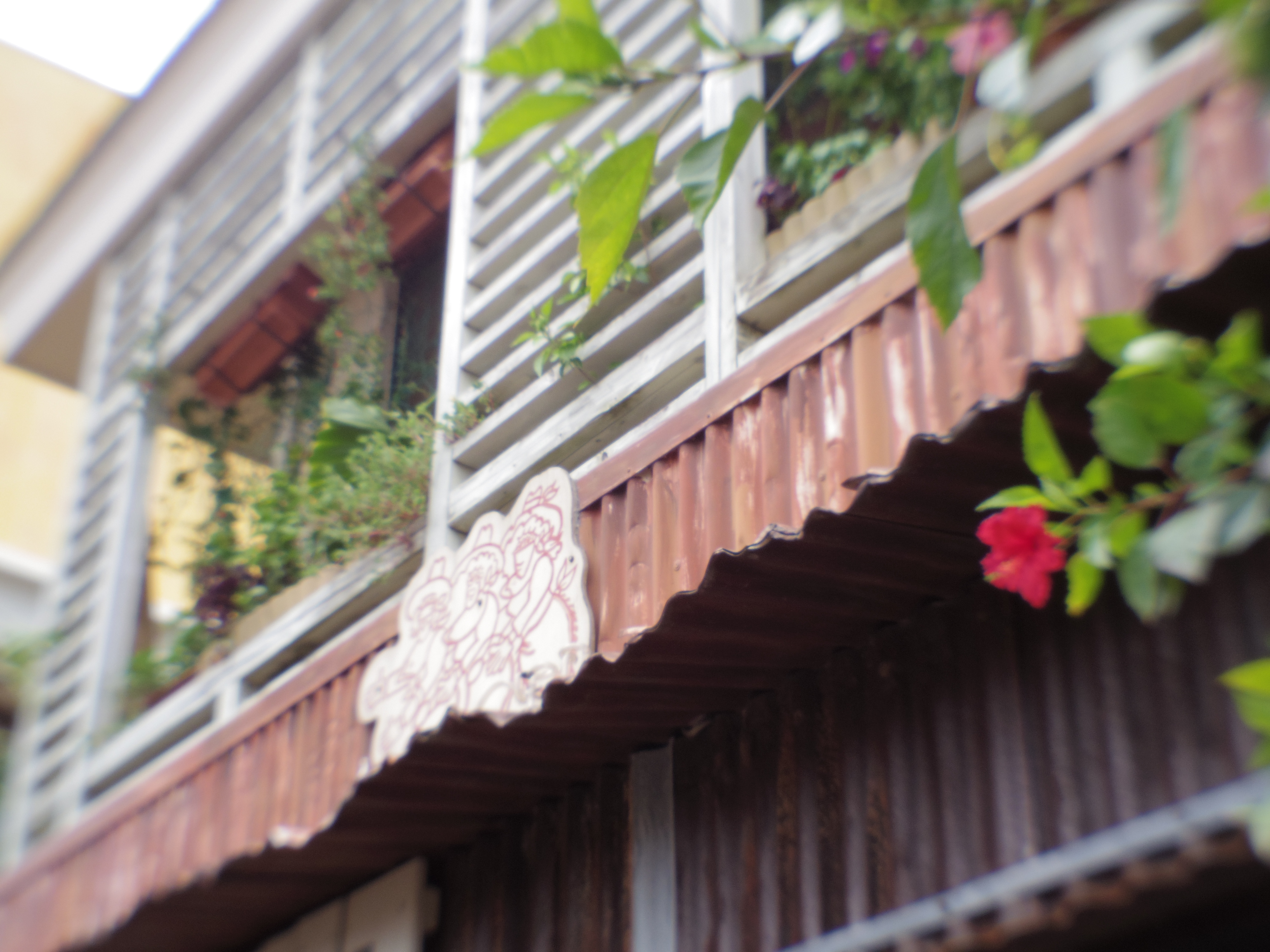 どこに合わせるでもなくパチリ。このレンズはそんな使い方をしたいです。07 MOUNT SHIELD LENS / 1/100秒 / F9 / 0EV / ISO200 / 絞り優先AE / WB：オート / 11.5mm