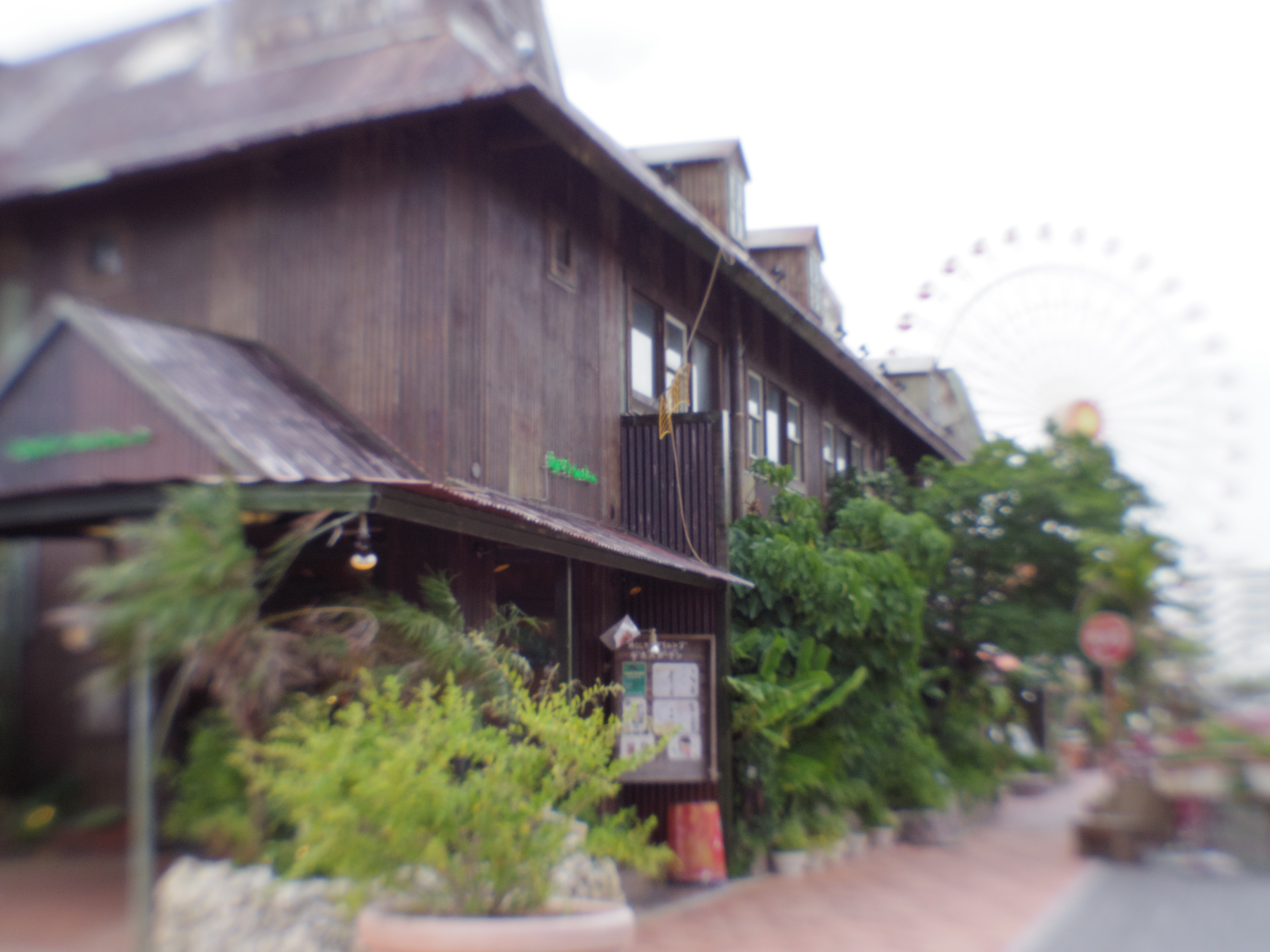 右側の遠方の被写体は像が流れると言うよりも溶けて消えちゃっていますね(笑)。07 MOUNT SHIELD LENS / 1/80秒 / F9 / 0EV / ISO200 / 絞り優先AE / WB：オート / 11.5mm