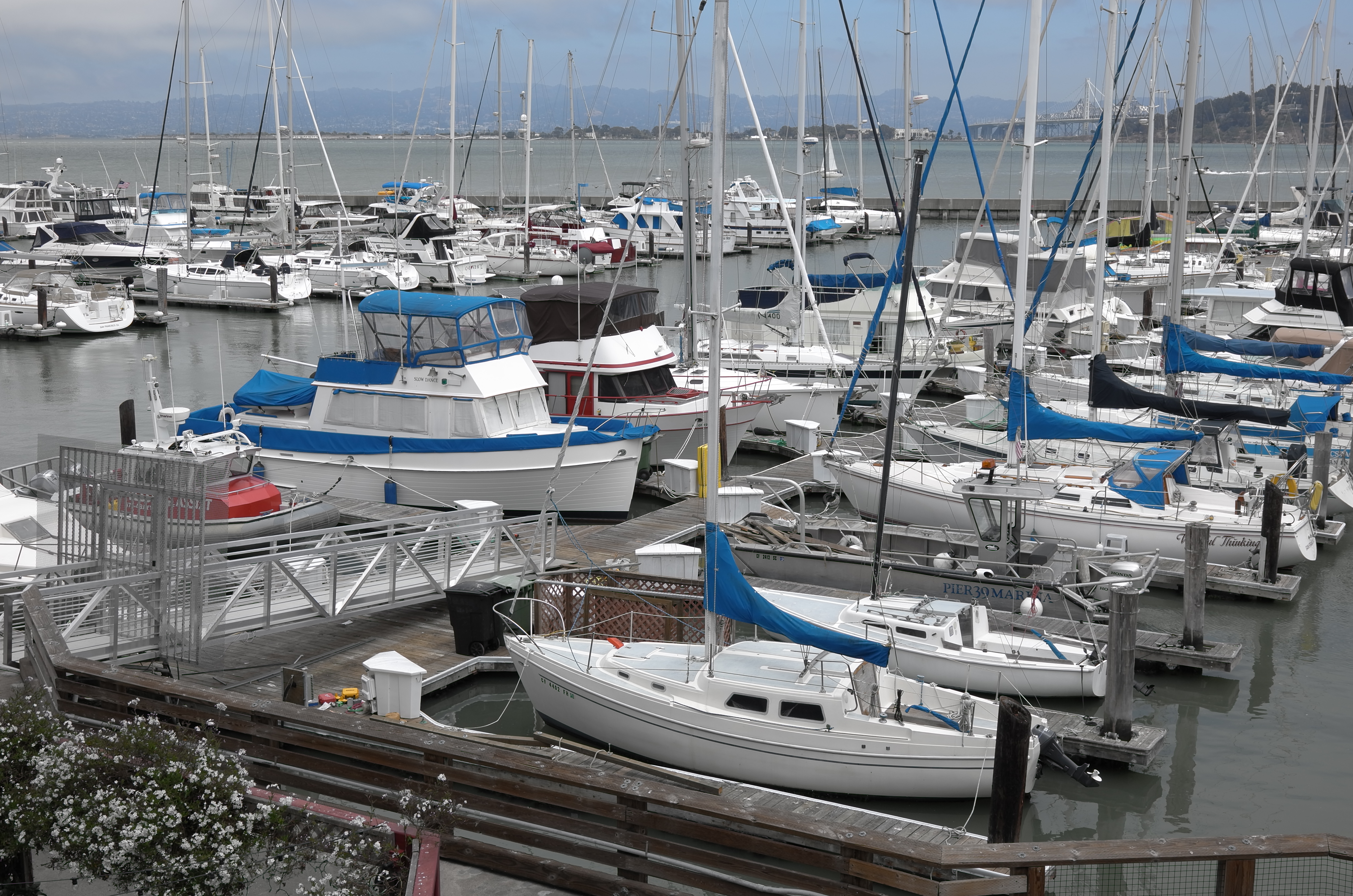 LEICA X VARIO (Typ 107) / 4,928×3,264 / ISO100 / F8 / 1/320秒 / 29.6mm（45mm相当）