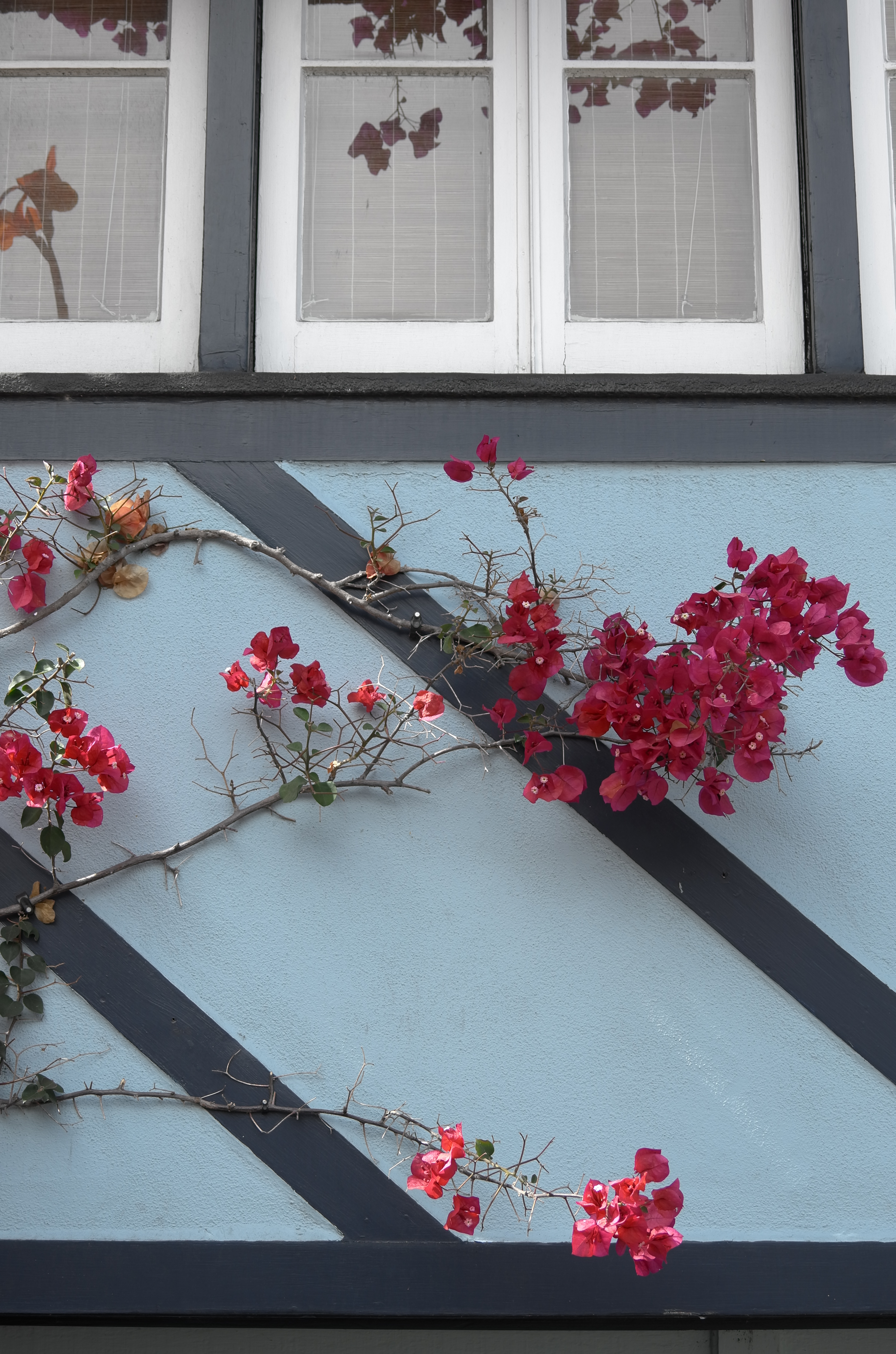 LEICA X VARIO (Typ 107) / 3,264×4,928 / ISO100 / F5.9 / 1/125秒 / 41mm（62mm相当）