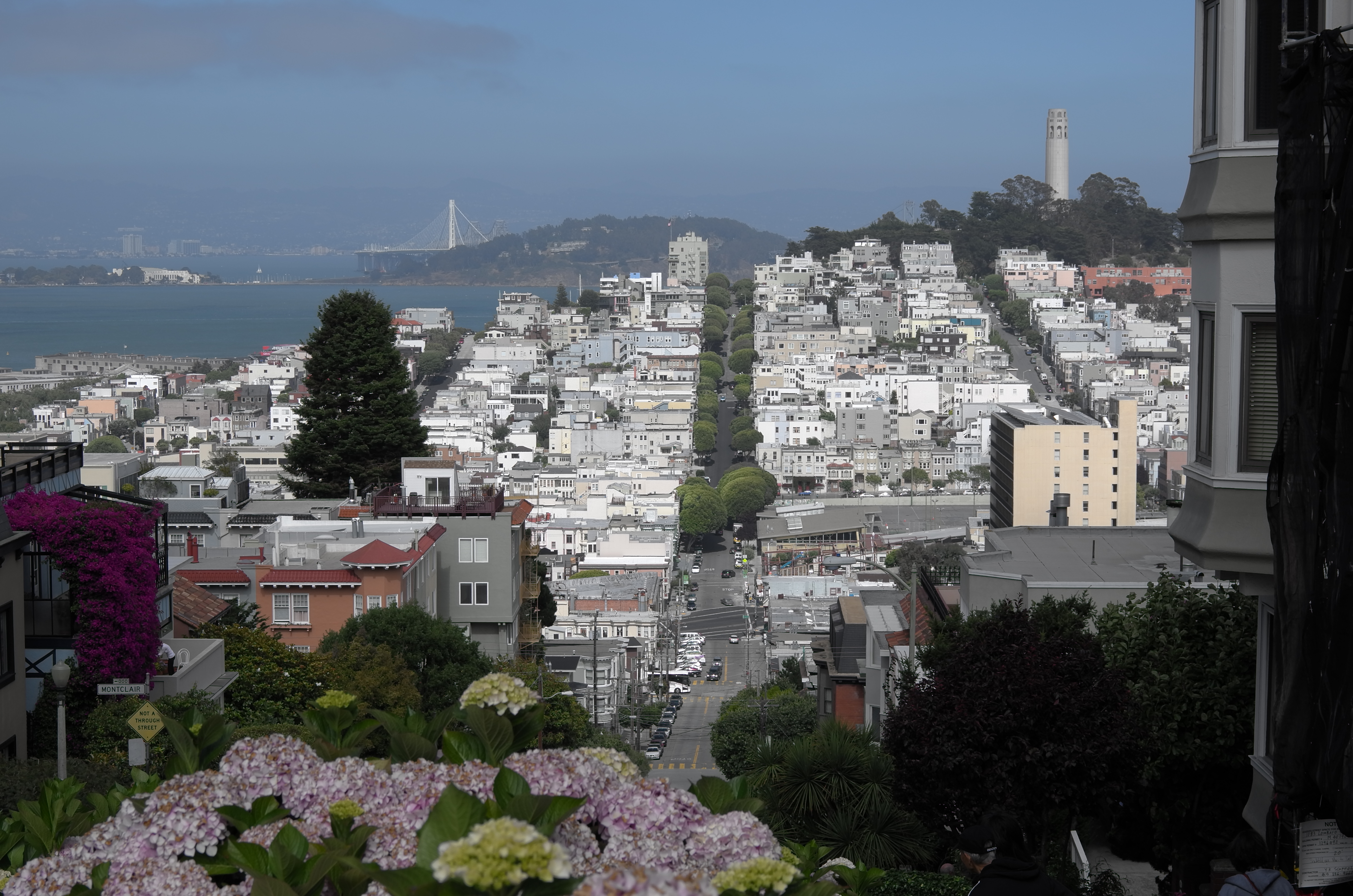 LEICA X VARIO (Typ 107) / 4,928×3,264 / ISO100 / F8 / 1/500秒 / 46mm（70mm相当）