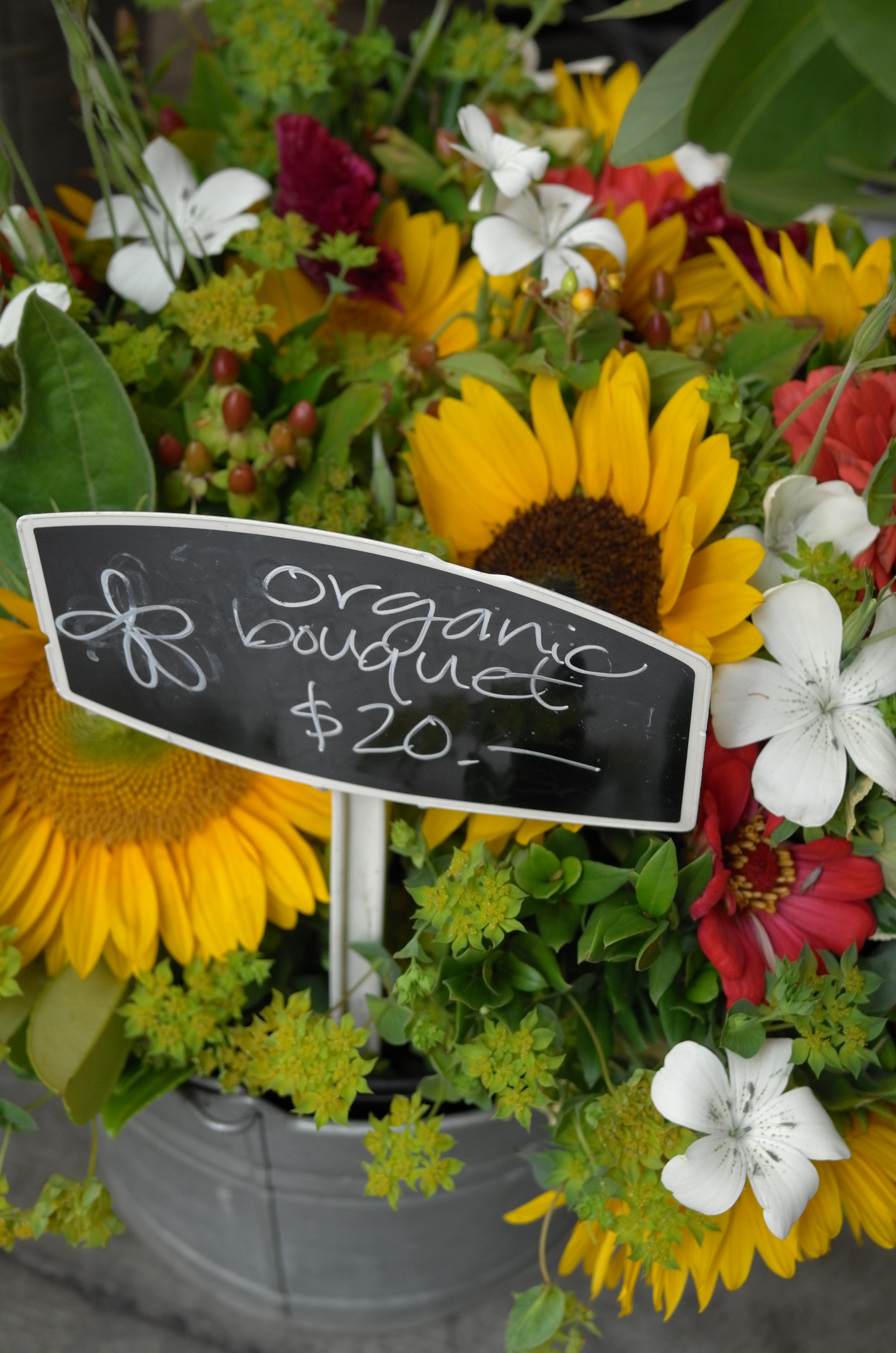 LEICA X VARIO (Typ 107) / 3,264×4,928 / ISO800 / F6.4 / 1/60秒 / 46mm（70mm相当）