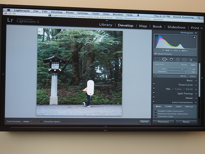 修復ブラシで画像内のオブジェクトを消し去るデモ