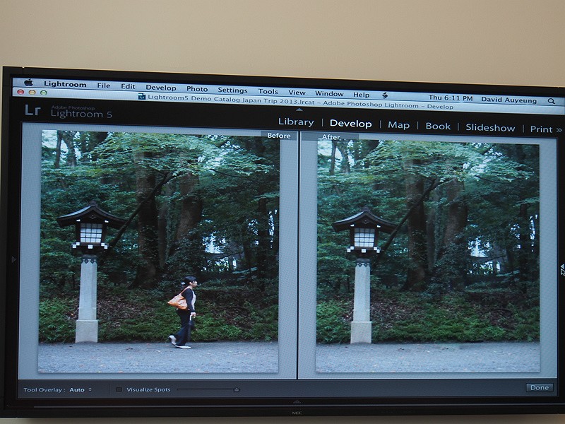 修復ブラシで画像内のオブジェクトを消し去るデモ