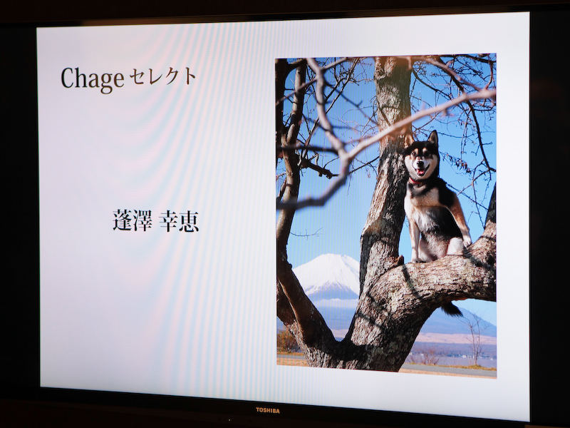 アーティストのChage氏が選んだ作品。「犬が富士山より上にいて、日本一の犬だ」（Chage氏のコメント。同氏は欠席）。