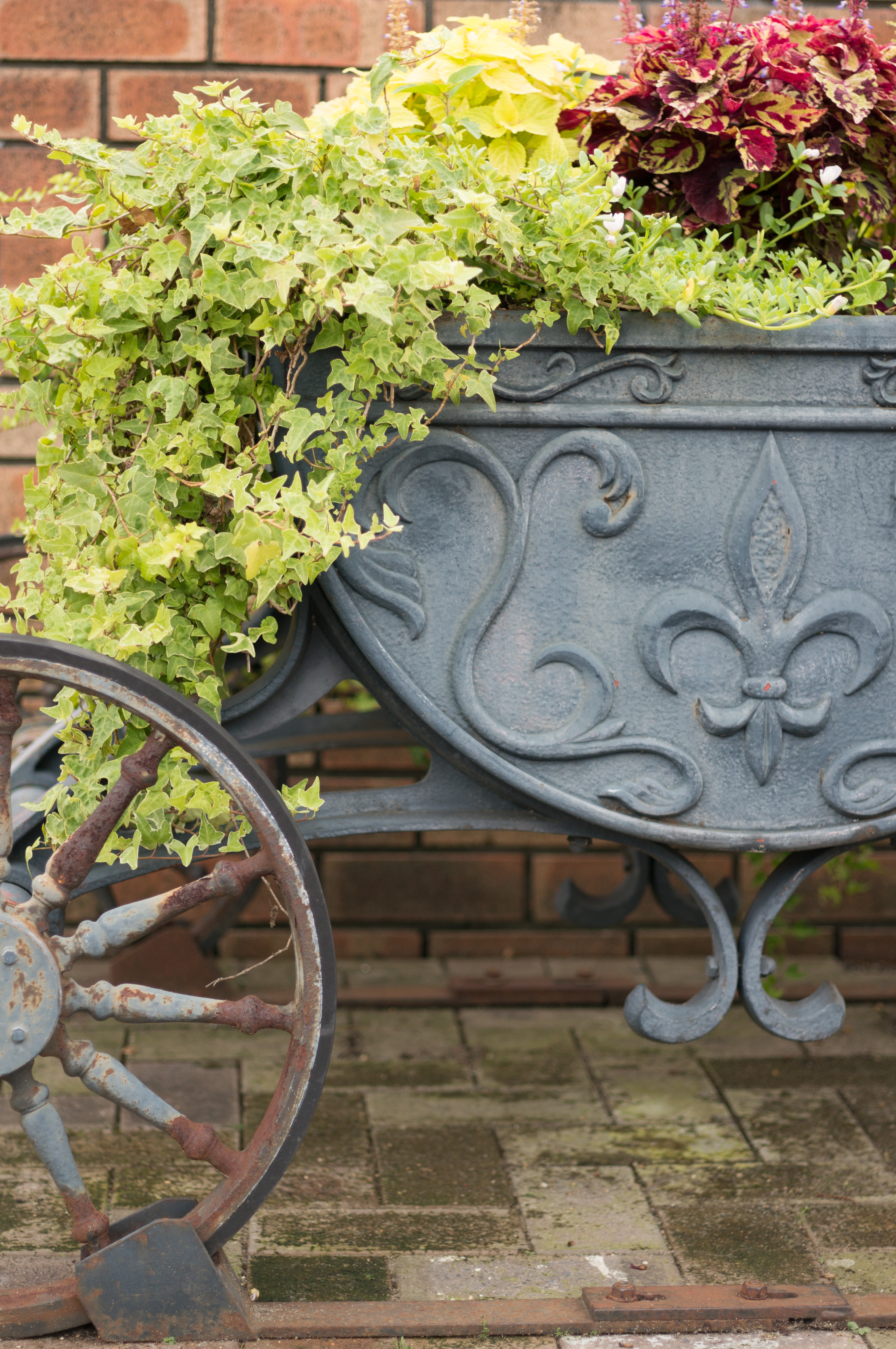 NEX-6 / Planar T* 45mm F2 / 4,912×3,264 / 1/1,250秒 / F2 / +0.7EV / ISO200 / WB:オート / 45mm / TA-GE1B