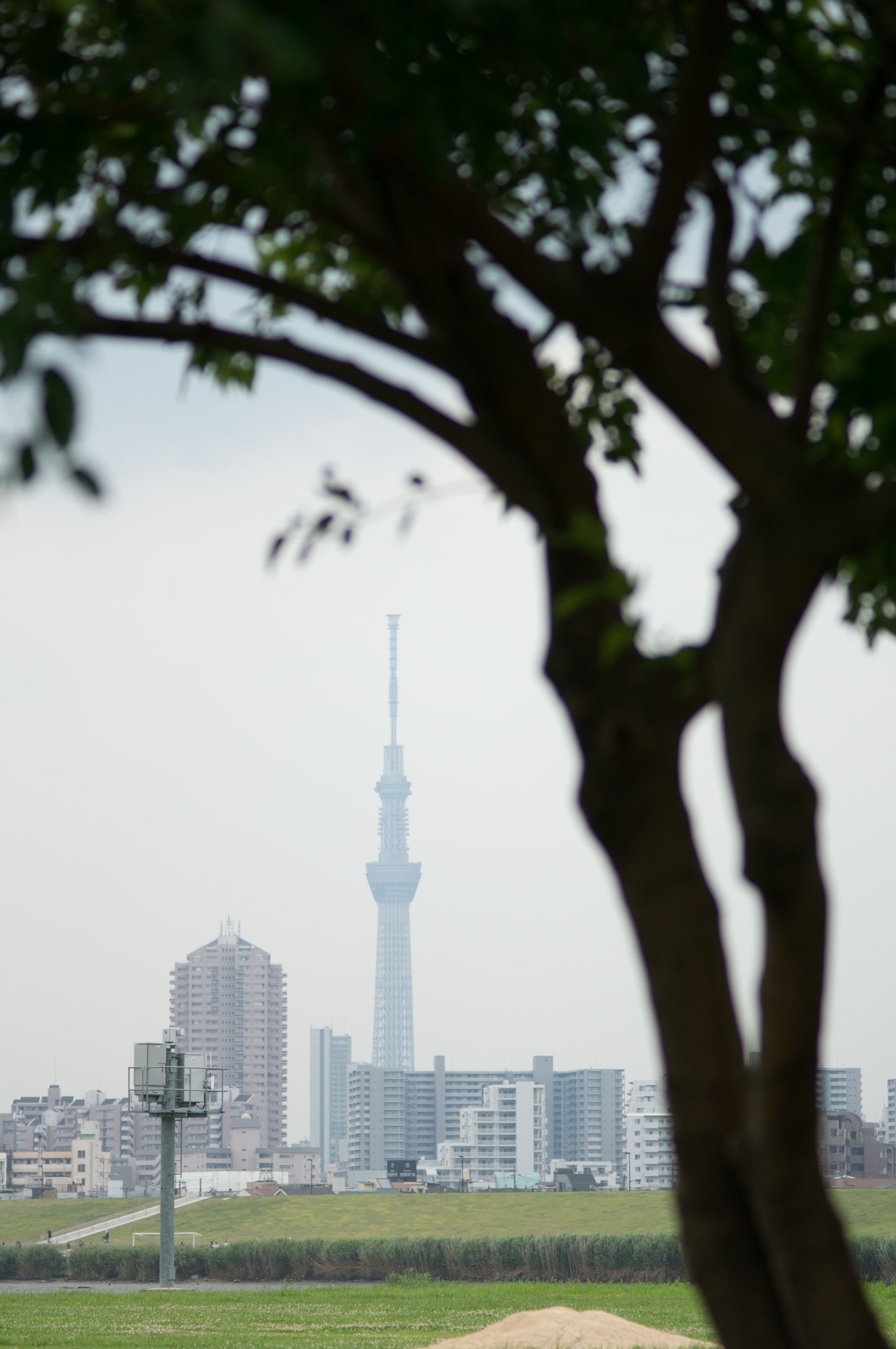 NEX-6 / Sonnar T* 90mm F2.8 / 4,912×3,264 / 1/2,500秒 / F2.8 / +1EV / ISO200 / WB:オート / 90mm / TA-GE1B