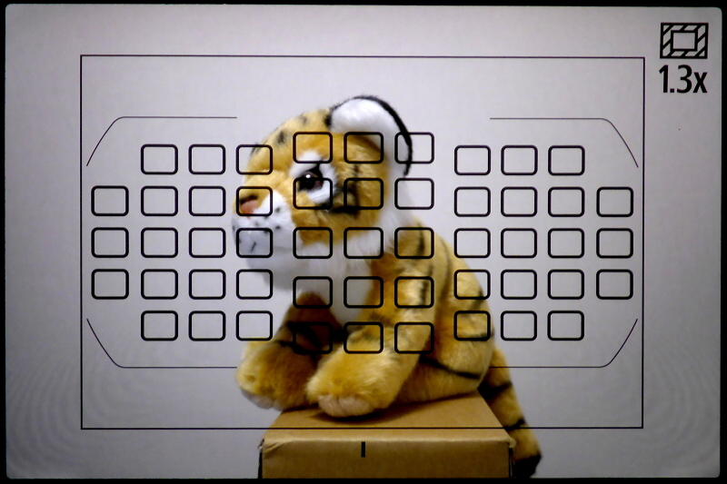 「対DX1.3×クロップ」時には、51点のフォーカスポイントが画面全域を広くカバーできるようになる。特に、画面の左右に関しては、ほぼ目一杯カバーする。まあ、そのあたりのAF関連の詳しい話は、また次回以降に……。