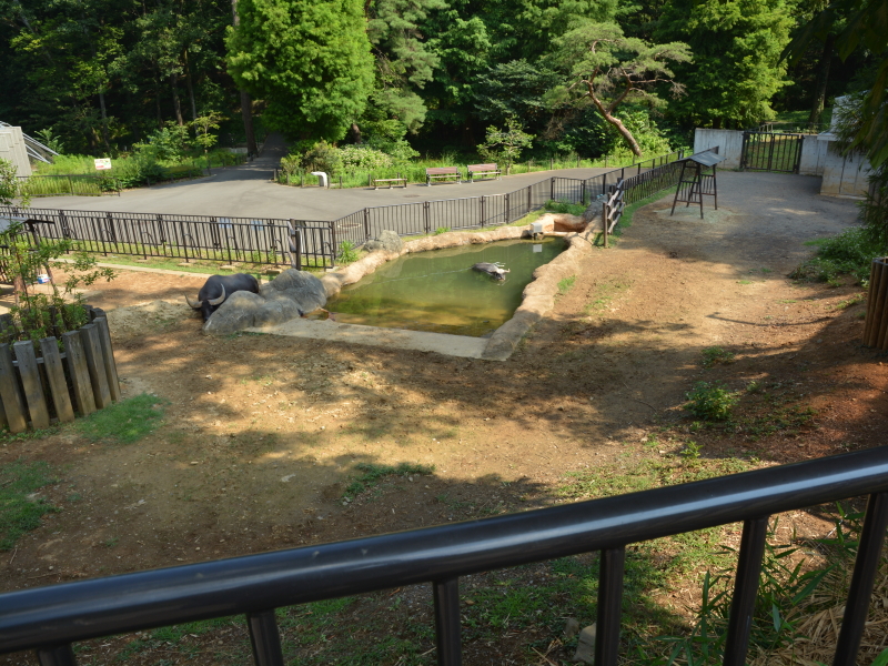 （撮影時の状況）離れた位置から狙った動物が大きく写せる! そんな単純にして明快なメリットが享受できるのが「対DX1.3×クロップ」だ。