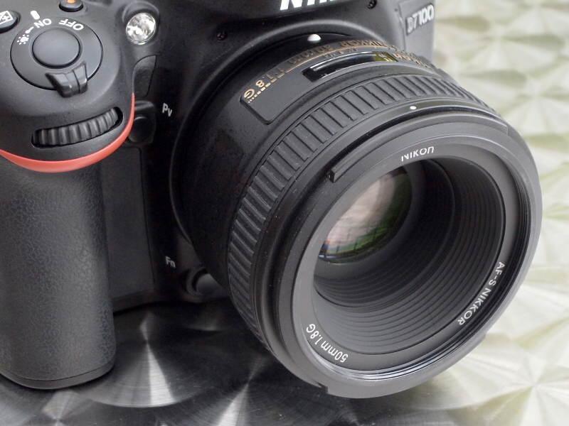 AF-S NIKKOR 50mm F1.8 Gで撮影。画角は約100mm相当になる。「約100mm相当で開放F1.8」という仕様は、大口径中望遠レンズとしてかなり魅力的だ（ここではF2.2と微妙に絞ってるけど）。D7100 / 1/125秒 / F2.2 / 0EV / ISO100 / 絞り優先AE / WB：晴天 / 50mm