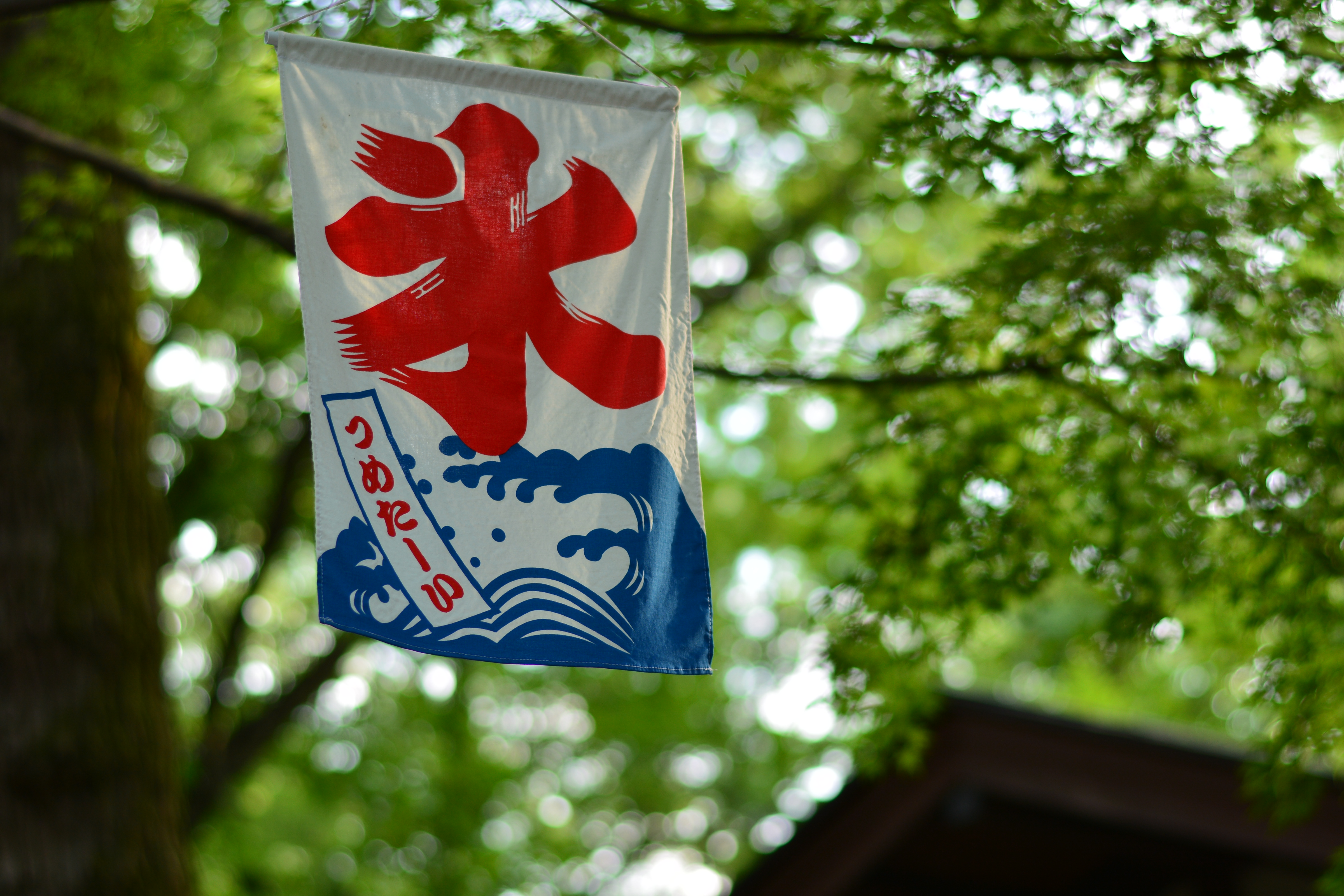 AF-S NIKKOR 50mm F1.8 Gで撮影。画角は約100mm相当になる。「約100mm相当で開放F1.8」という仕様は、大口径中望遠レンズとしてかなり魅力的だ（ここではF2.2と微妙に絞ってるけど）。D7100 / 1/125秒 / F2.2 / 0EV / ISO100 / 絞り優先AE / WB：晴天 / 50mm