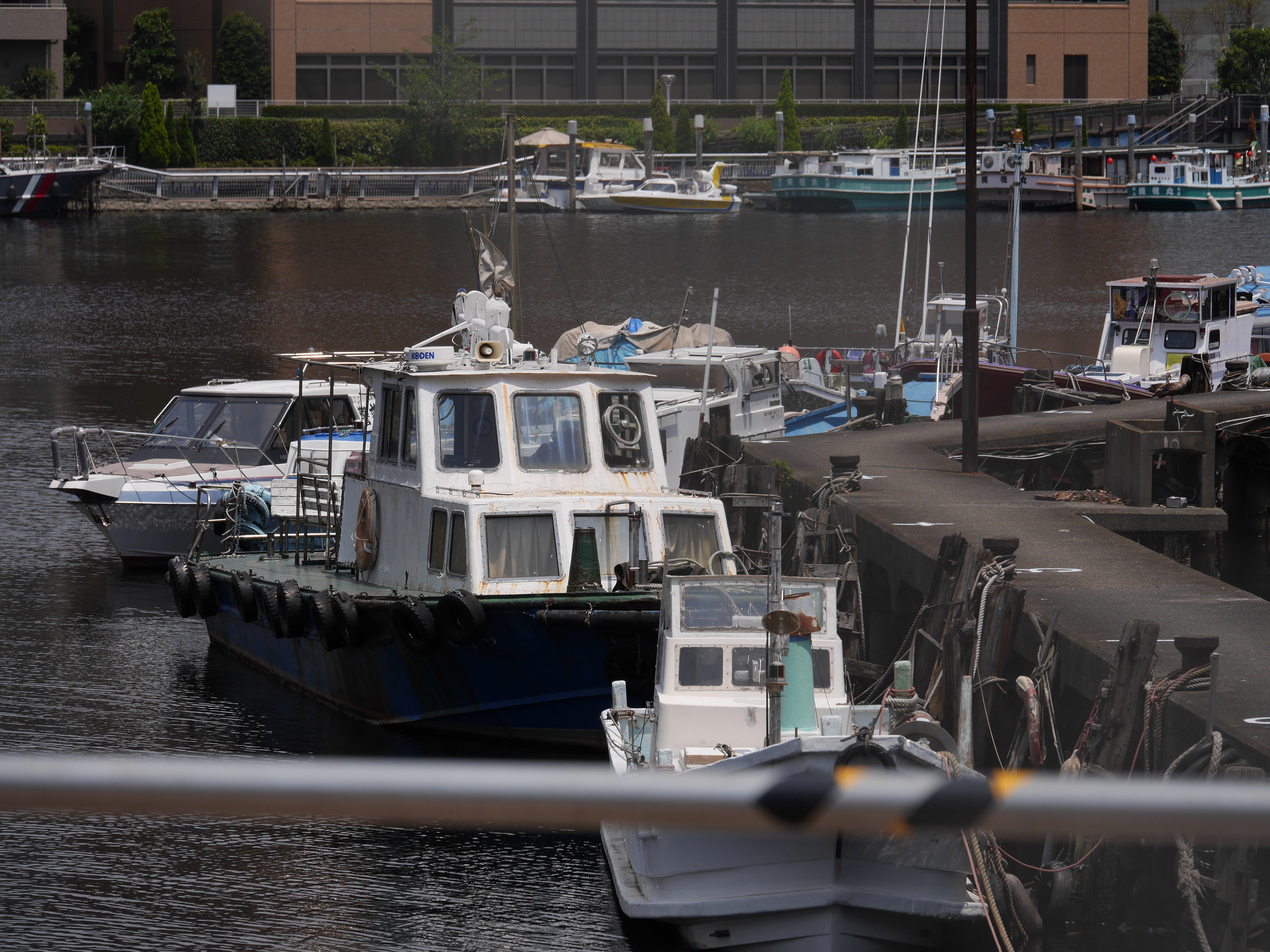 DMC-GH3 / 1/2,000秒 / F5.6 / -1EV / ISO200 / 絞り優先AE / WB：オート / 100mm