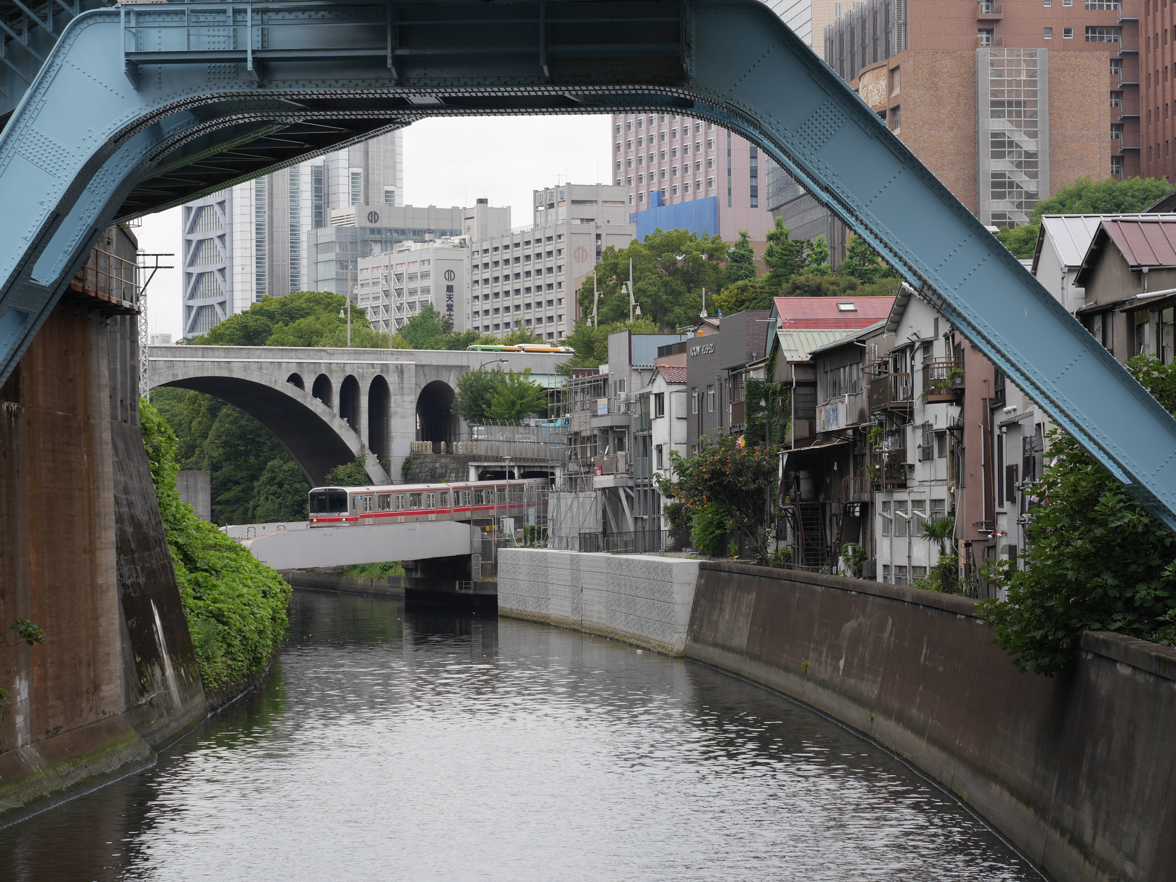 DMC-GH3 / 1/250秒 / F7 / -0.3EV / ISO200 / Normal / WB：オート / 55mm