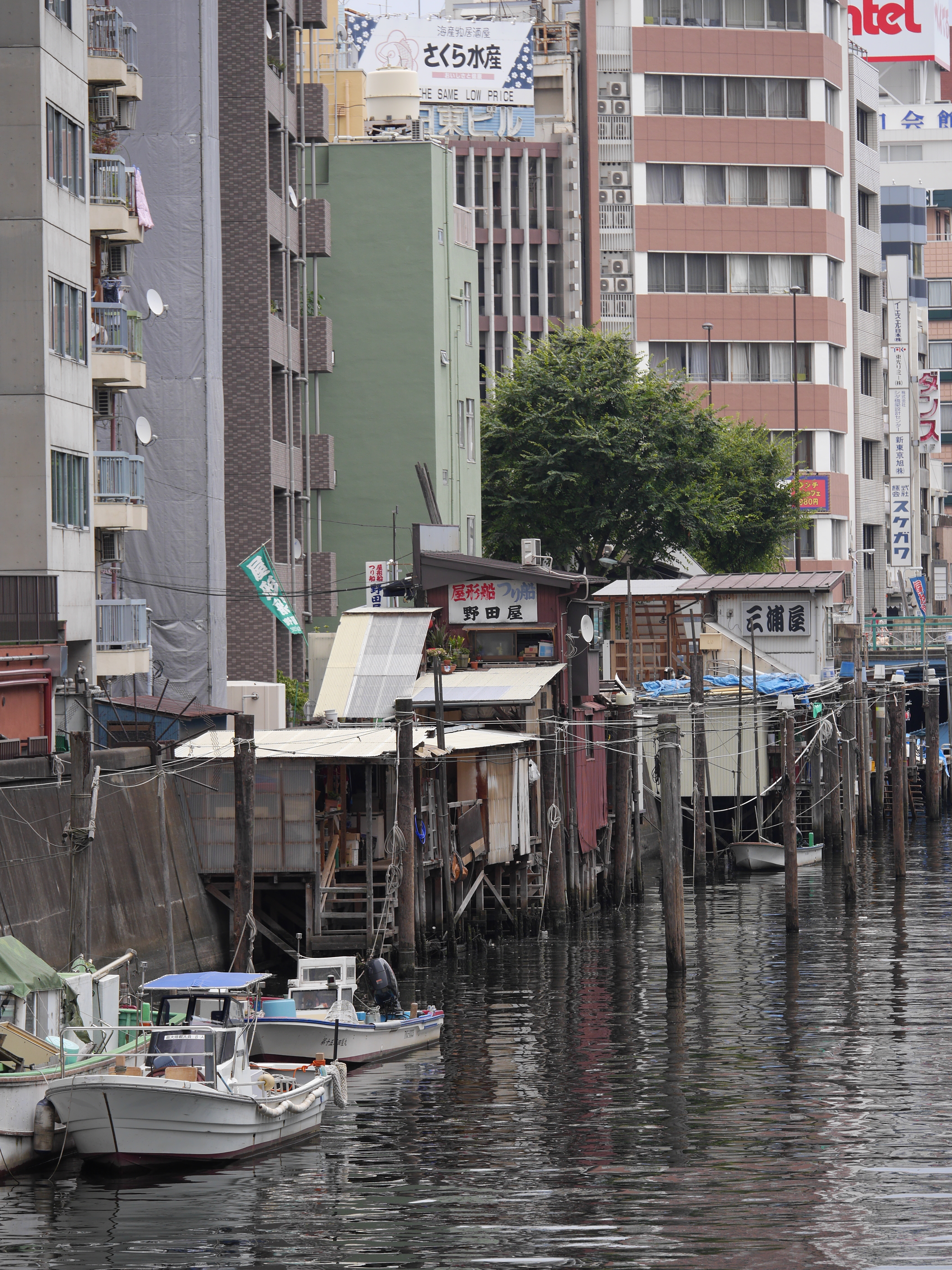 DMC-GH3 / 1/800秒 / F4 / 0EV / ISO200 / 絞り優先AE / WB：オート / 100mm