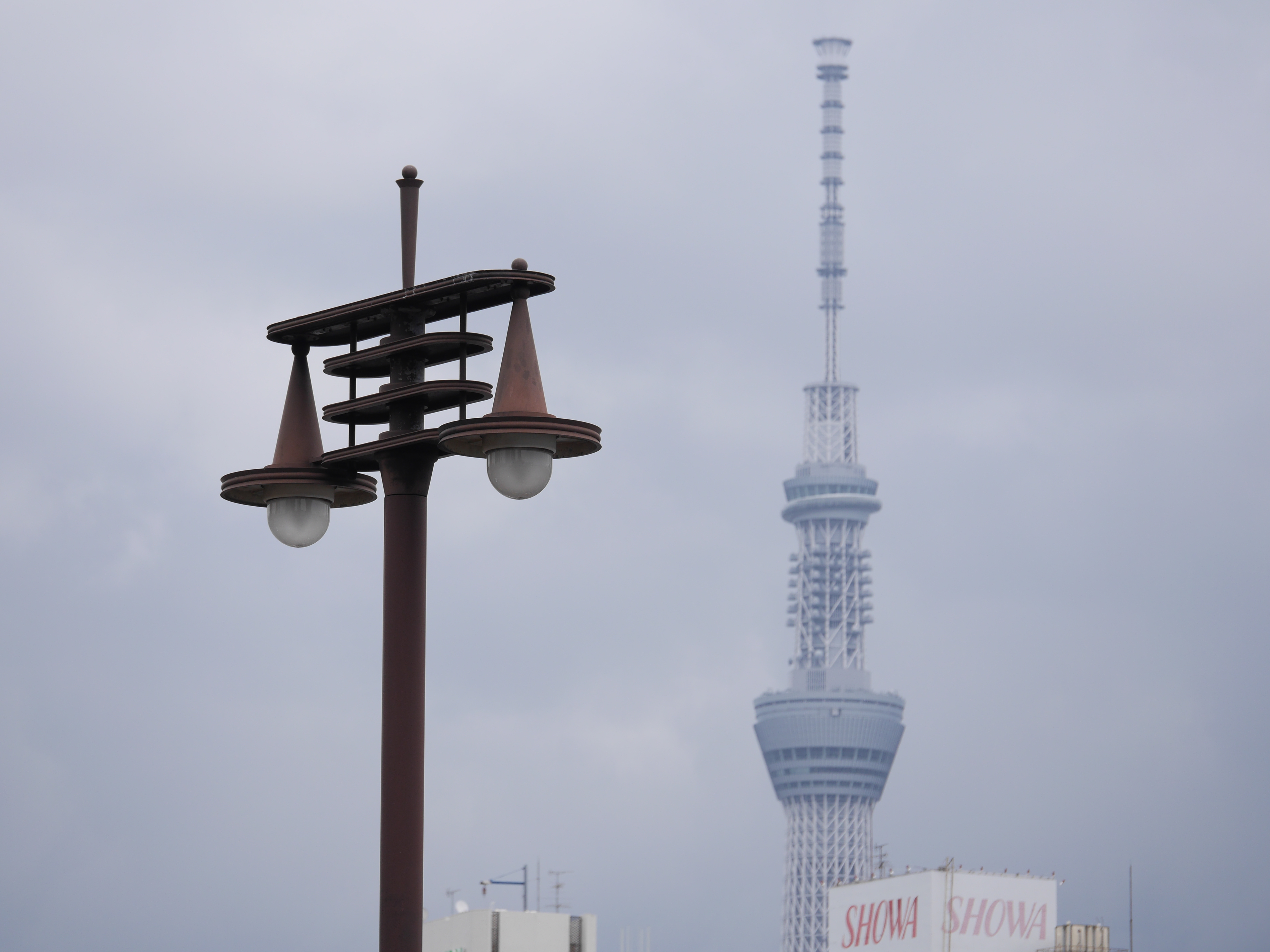 DMC-GH3 / 1/2,500秒 / F4 / +0.3EV / ISO200 / 絞り優先AE / WB：オート / 100mm