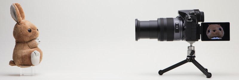 中間リング無しの場合、望遠端ではレンズ前約32cmまで接近できる。