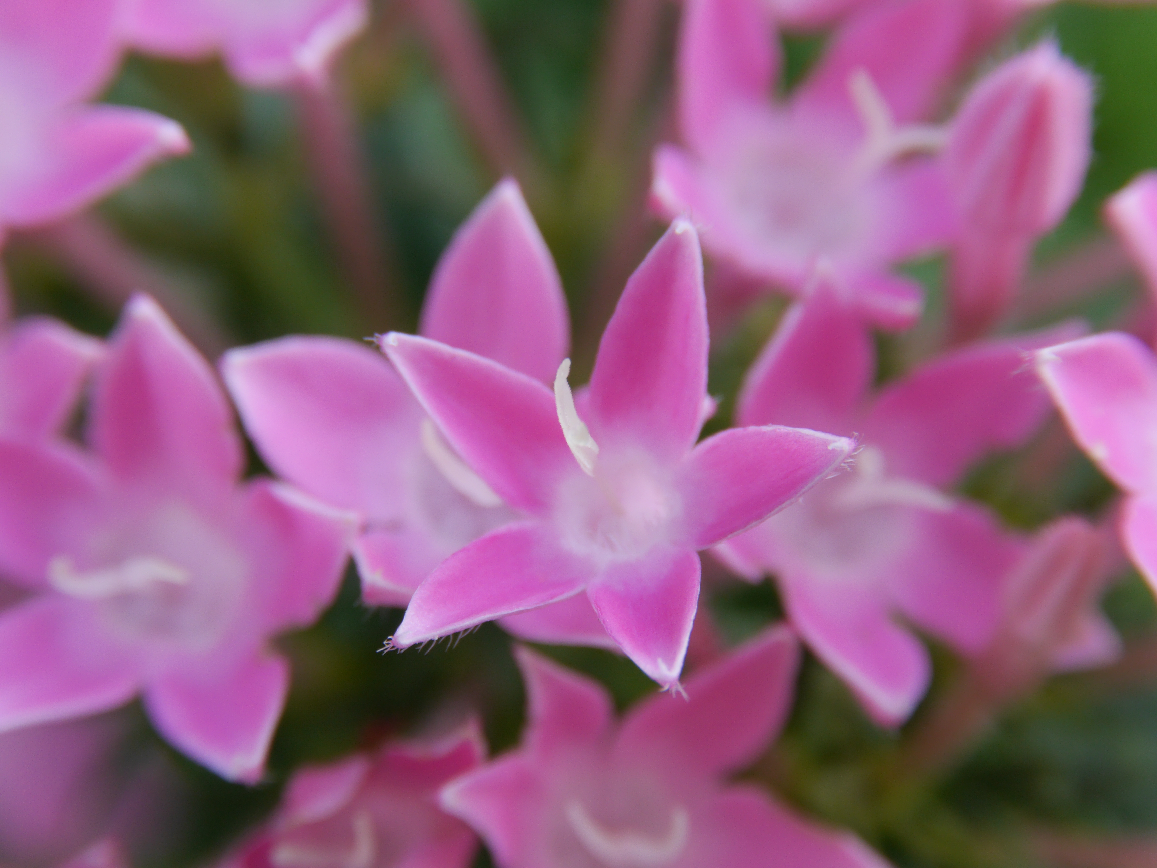 10mm+16mmリング使用。