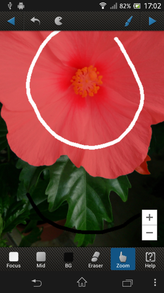 「Zoom」をタップし、「＋」「-」を操作して画面を拡大・縮小できる