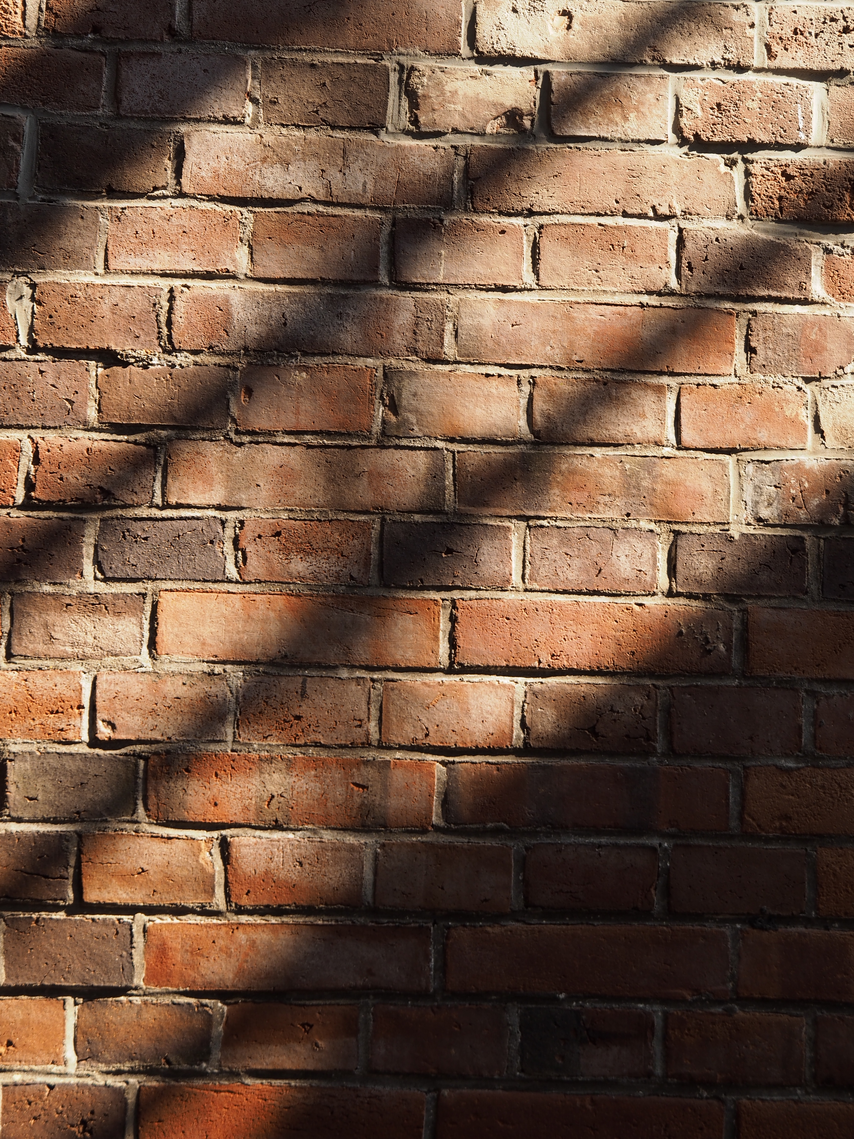 そう言えば、フォーサーズのレンズの歪曲収差は自動補正してくれないんだね。次の世代に期待か? 1/200秒 / F3.7 / -0.3EV / ISO200 / 絞り優先AE / WB：晴天 / 36mm