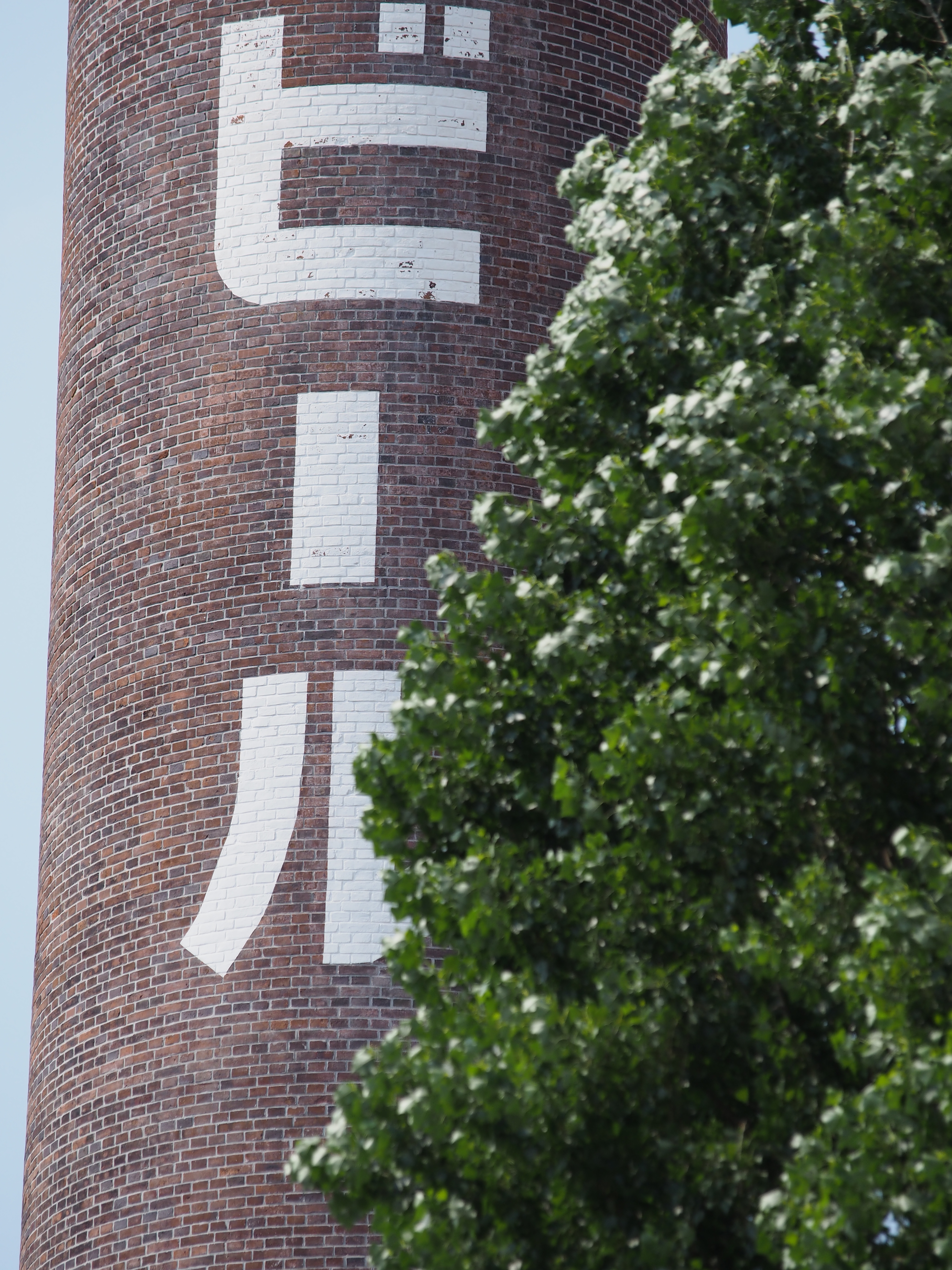 あまり絞っていないので周辺部までピントがきていないが、中心部のシャープさはハイグレードレンズならでは。1/1,600秒 / F4 / -0.7EV / ISO200 / 絞り優先AE / WB：晴天 / 158mm