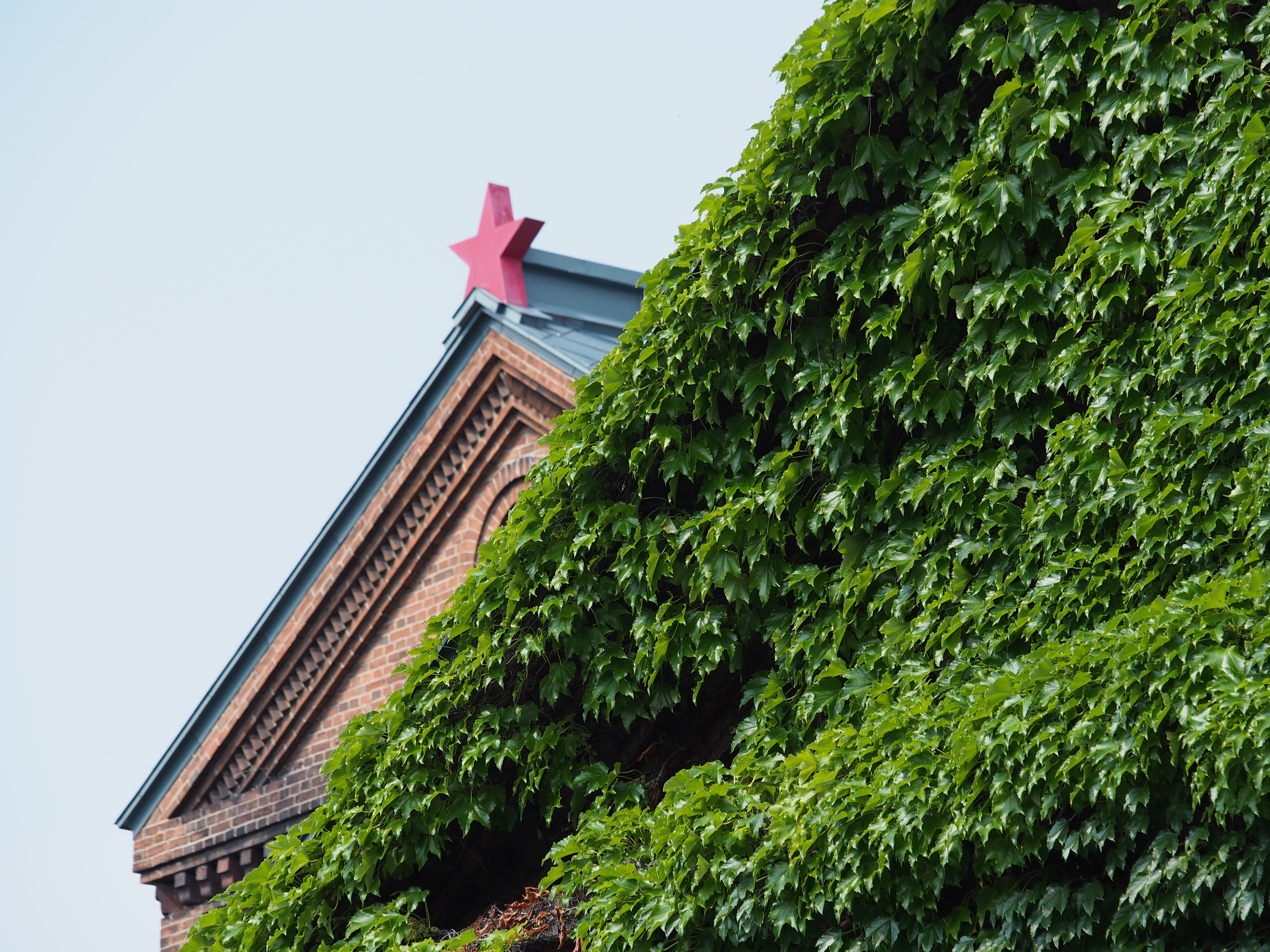 四隅だけは少し崩れるものの、それ以外はケチのつけどころがない。解像力に関しては、1,600万画素でもまだ余裕がありそうな印象だ。1/500秒 / F5.6 / 0EV / ISO200 / 絞り優先AE / WB：晴天 / 137mm