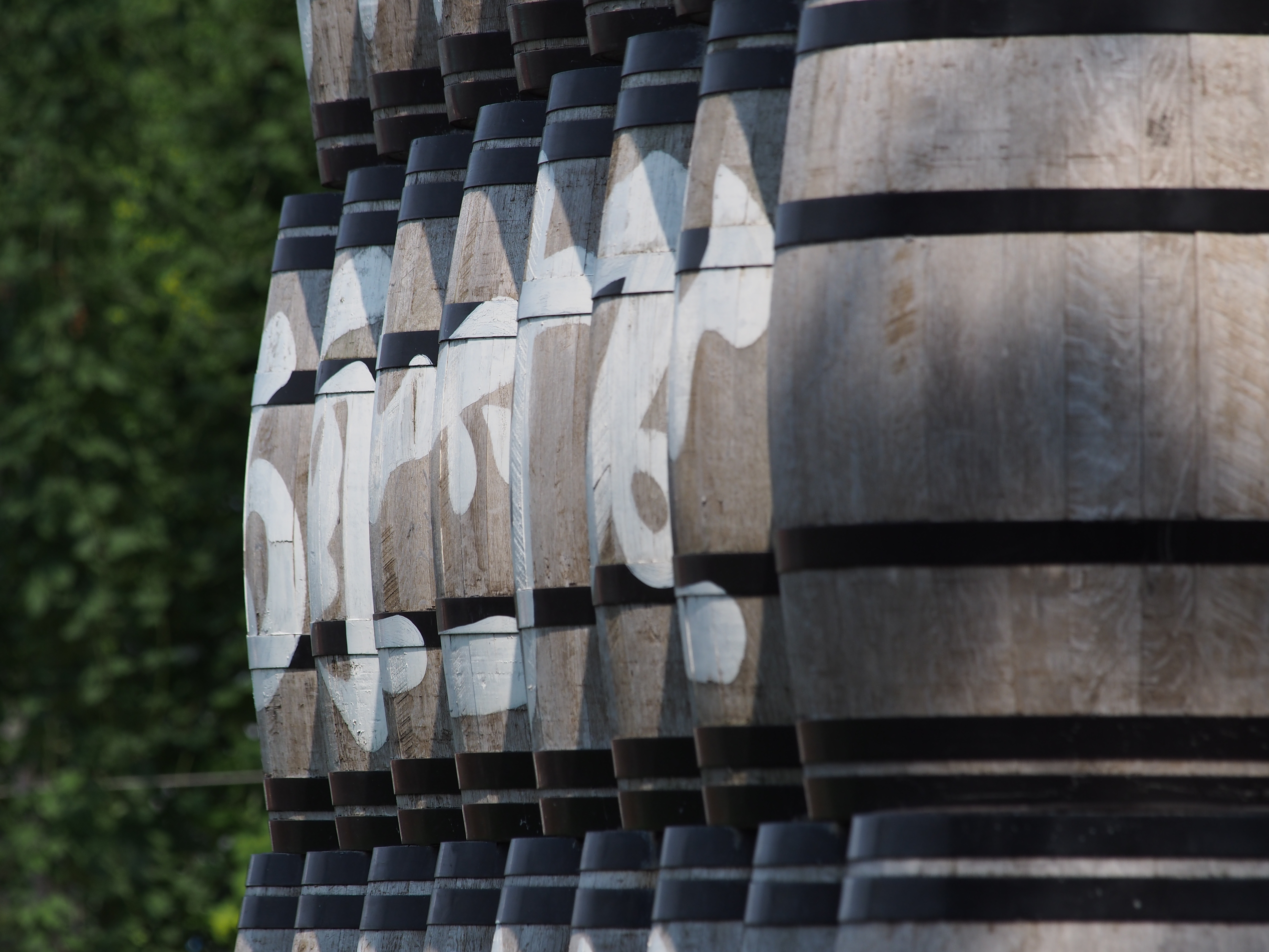 いちばんのネックは、三脚座別で995gという重さ。それから、ズームリングが太くて重いので、ハンドリングの部分ではもうひとつだと思う。1/1,000秒 / F5.6 / 0EV / ISO200 / 絞り優先AE / WB：晴天 / 200mm