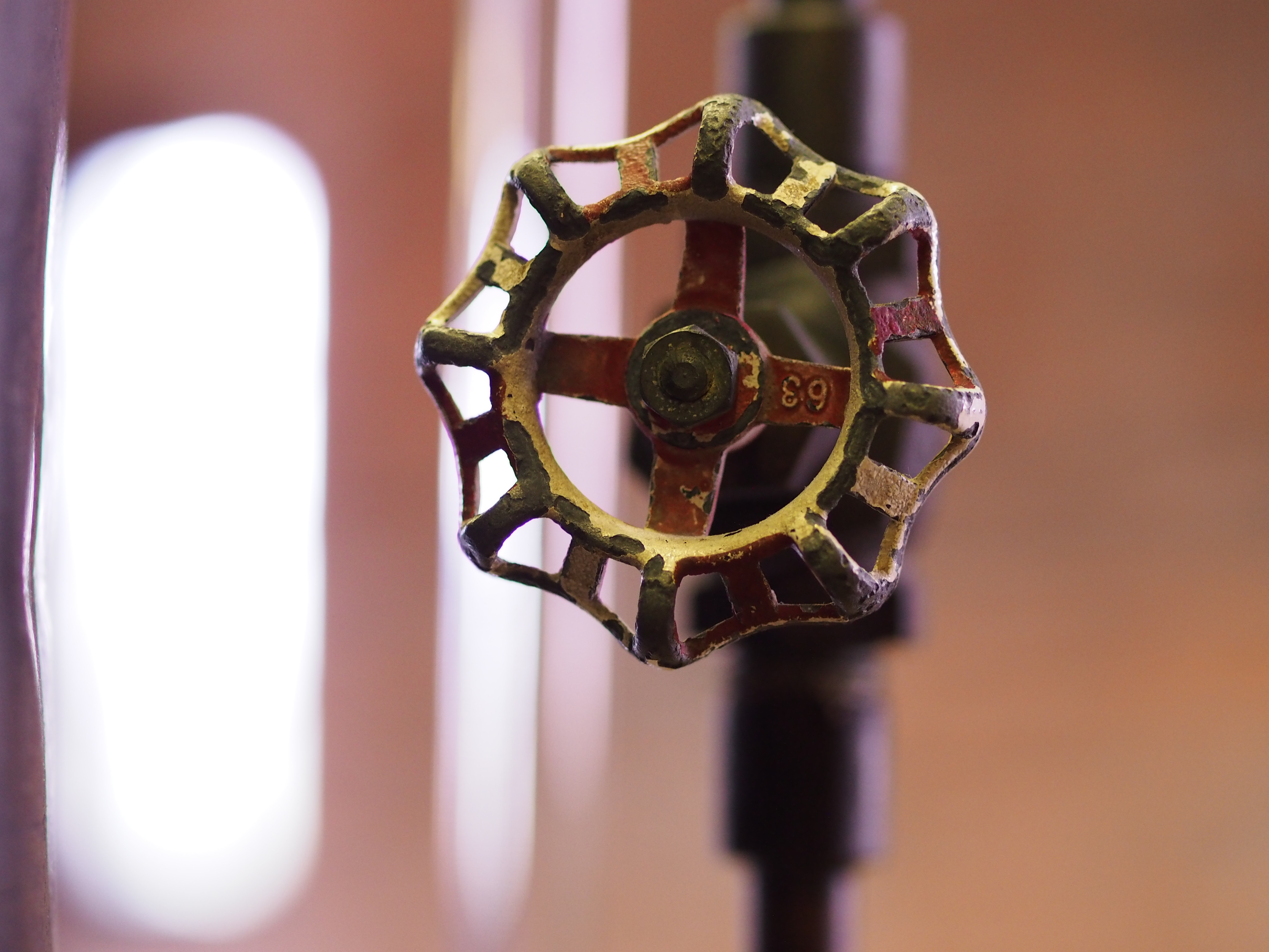 フォーサーズの名レンズの1つで愛用者も多いはず。絞り開放だと軸上色収差が見えるときがあるが、コントラストが高くなければ平気。1/80秒 / F2.2 / 0EV / ISO1600 / 絞り優先AE / WB：晴天 / 50mm