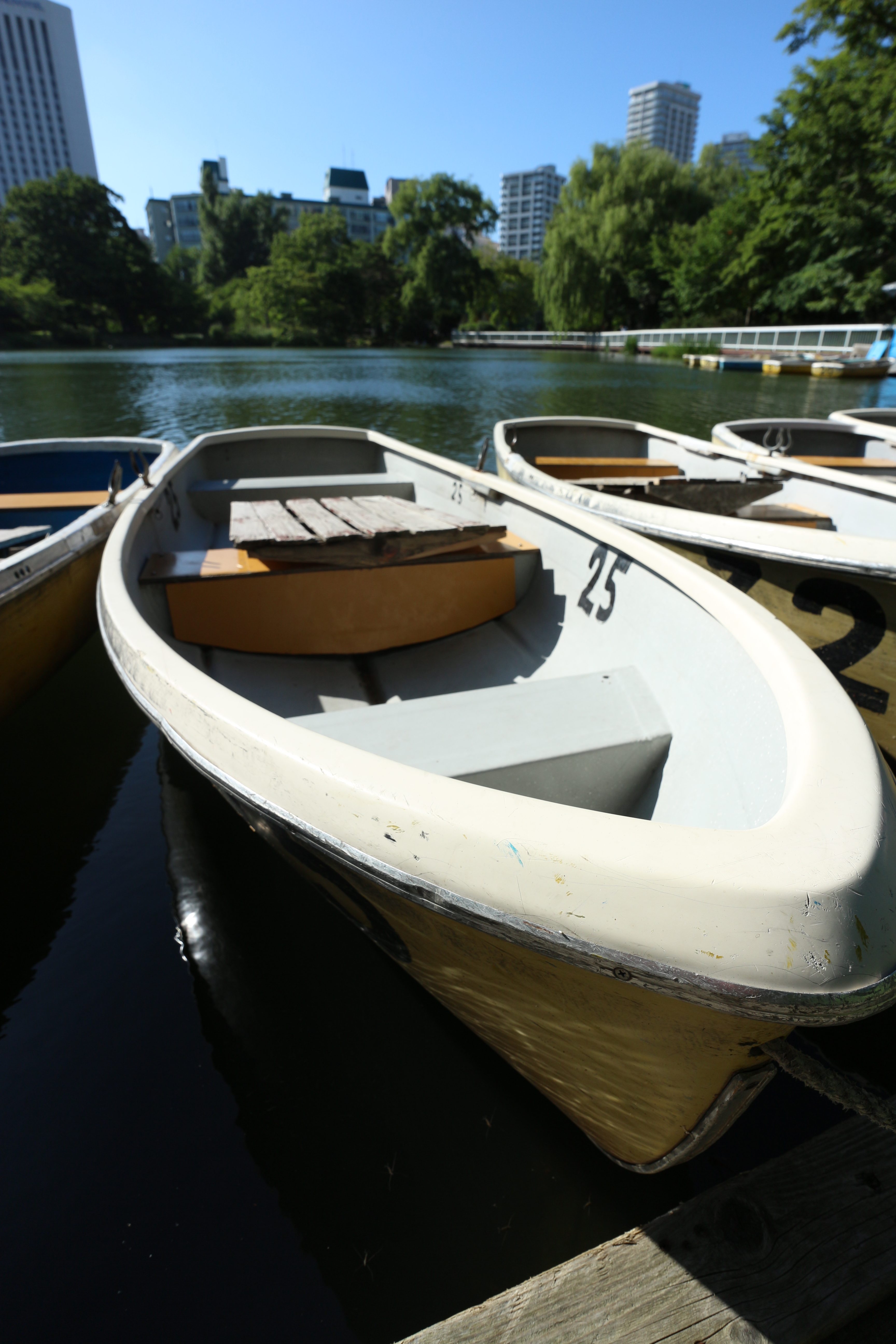 EOS M / 1/400秒 / F6.3 / +0.7EV / ISO100 / 絞り優先AE / WB：太陽光 / 11mm