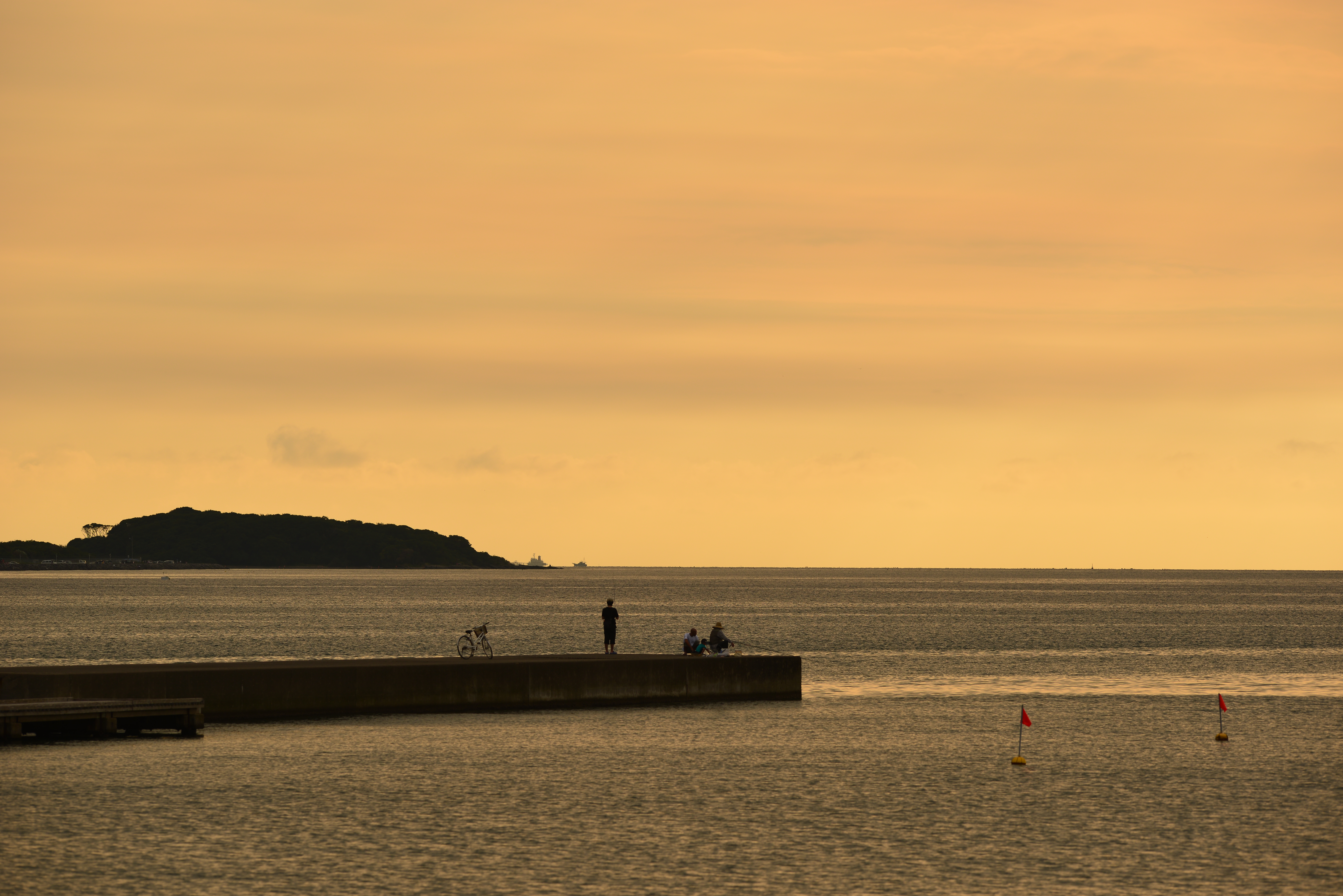 D800E / 1/800秒 / F5.6 / -0.7EV / ISO100 / 絞り優先AE / WB：晴天日陰 / 200mm