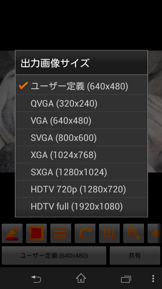 「ユーザー定義（640×480）」部をタップすると「出力画像サイズ」の選択画面が表示される