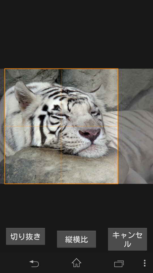 画像の切り抜きにも対応。自由比率にて自由なトリミングが可能