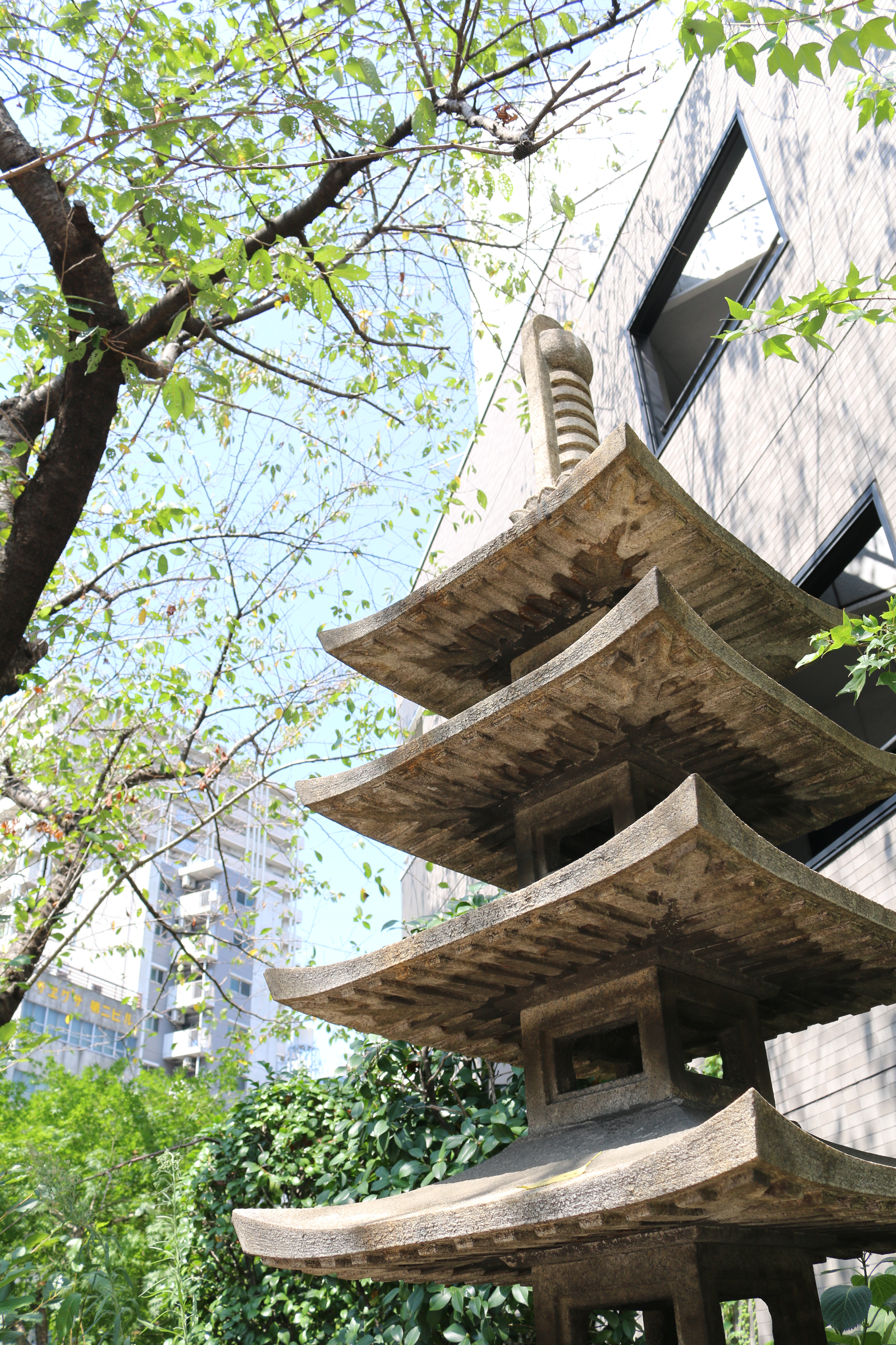 EF-S 18-55mm F3.5-5.6 IS STM / 1/125秒 / F5.6 / +0.7EV / ISO100 / 絞り優先AE / WB：オート / 18mm