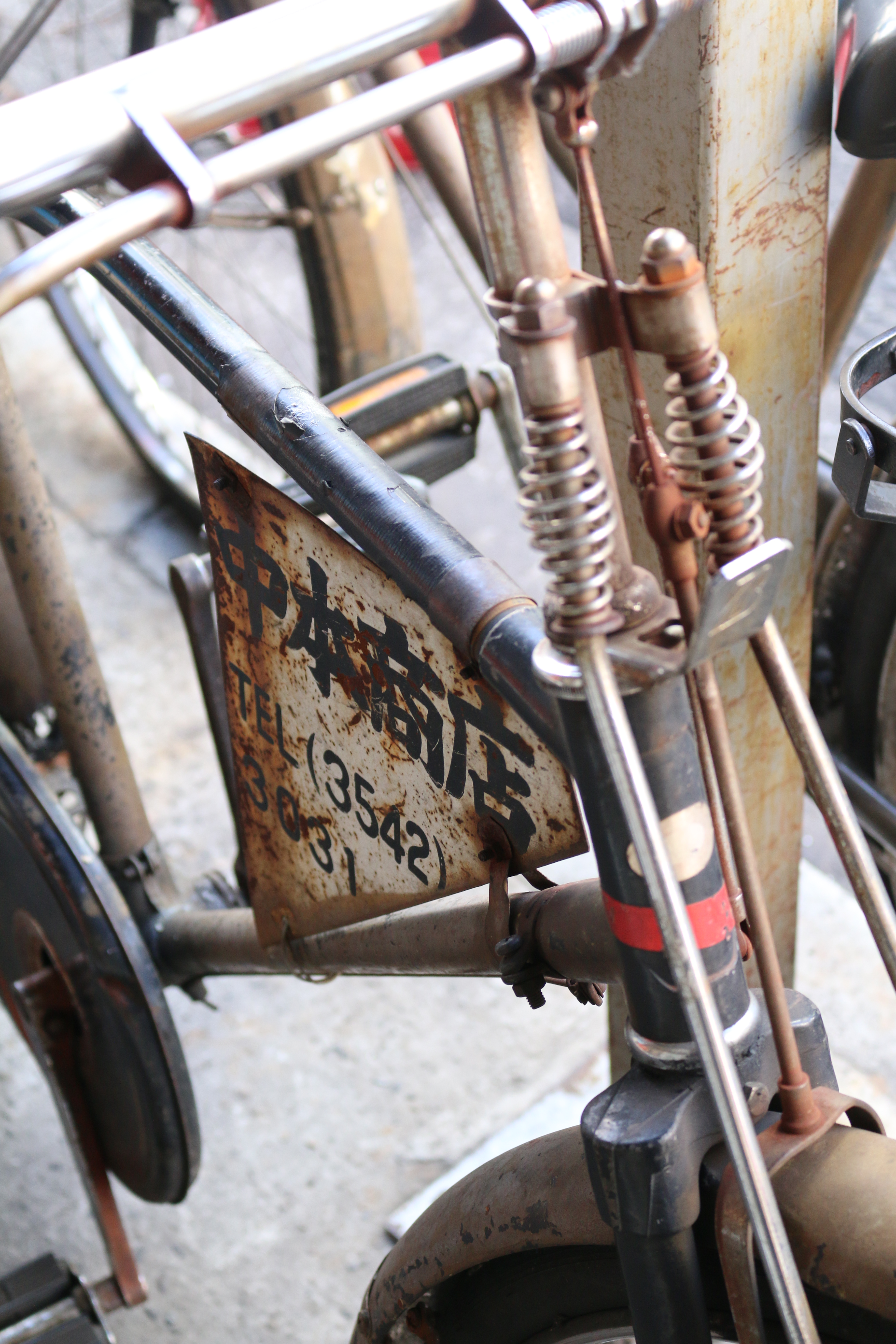 EF-S 18-55mm F3.5-5.6 IS STM / 1/100秒 / F5 / +0.3EV / ISO800 / 絞り優先AE / WB：太陽光 / 44mm