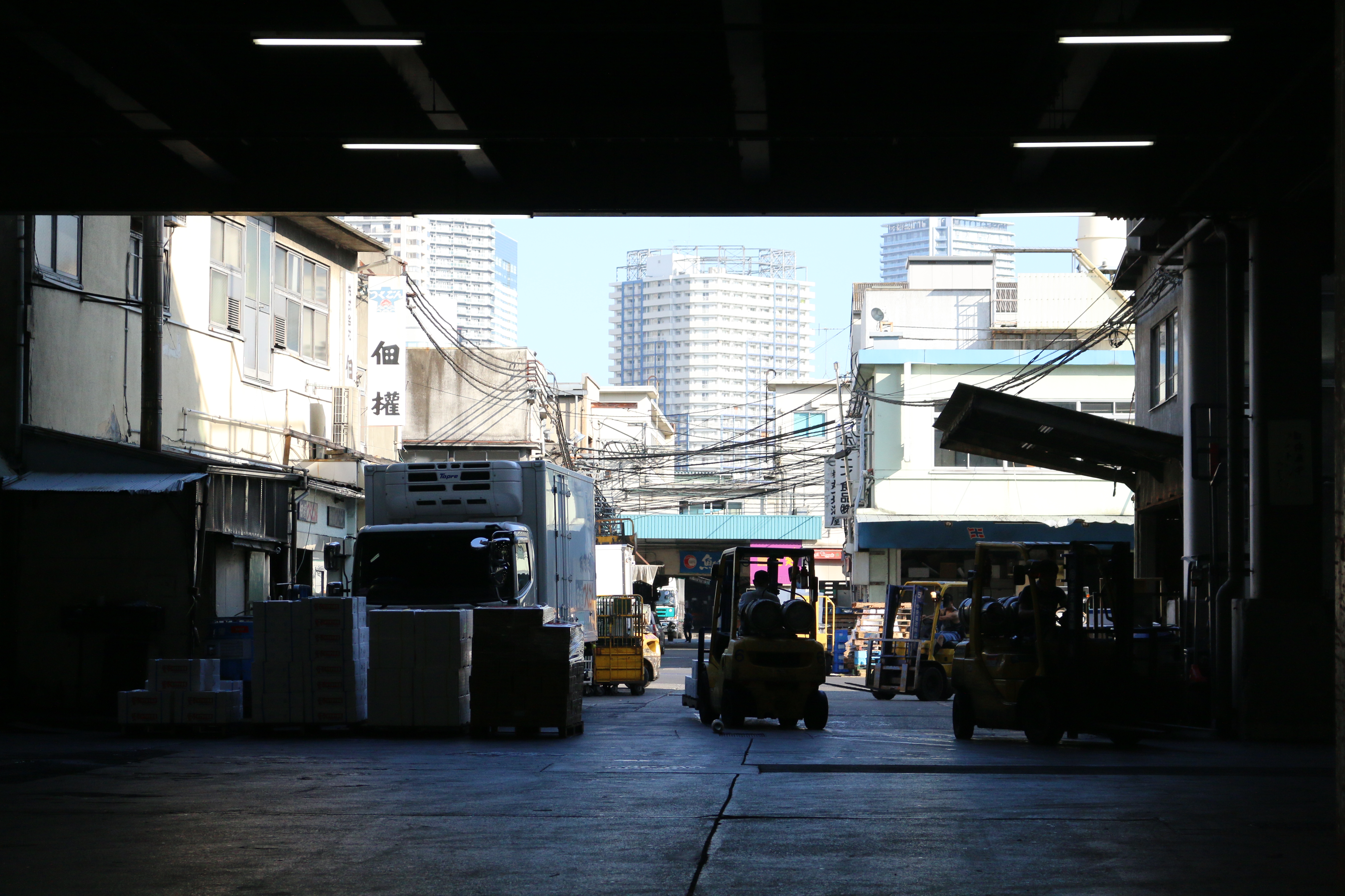 EF-S 18-55mm F3.5-5.6 IS STM / 1/1600秒 / F5.6 / +0.3EV / ISO800 / 絞り優先AE / WB：太陽光 / 55mm