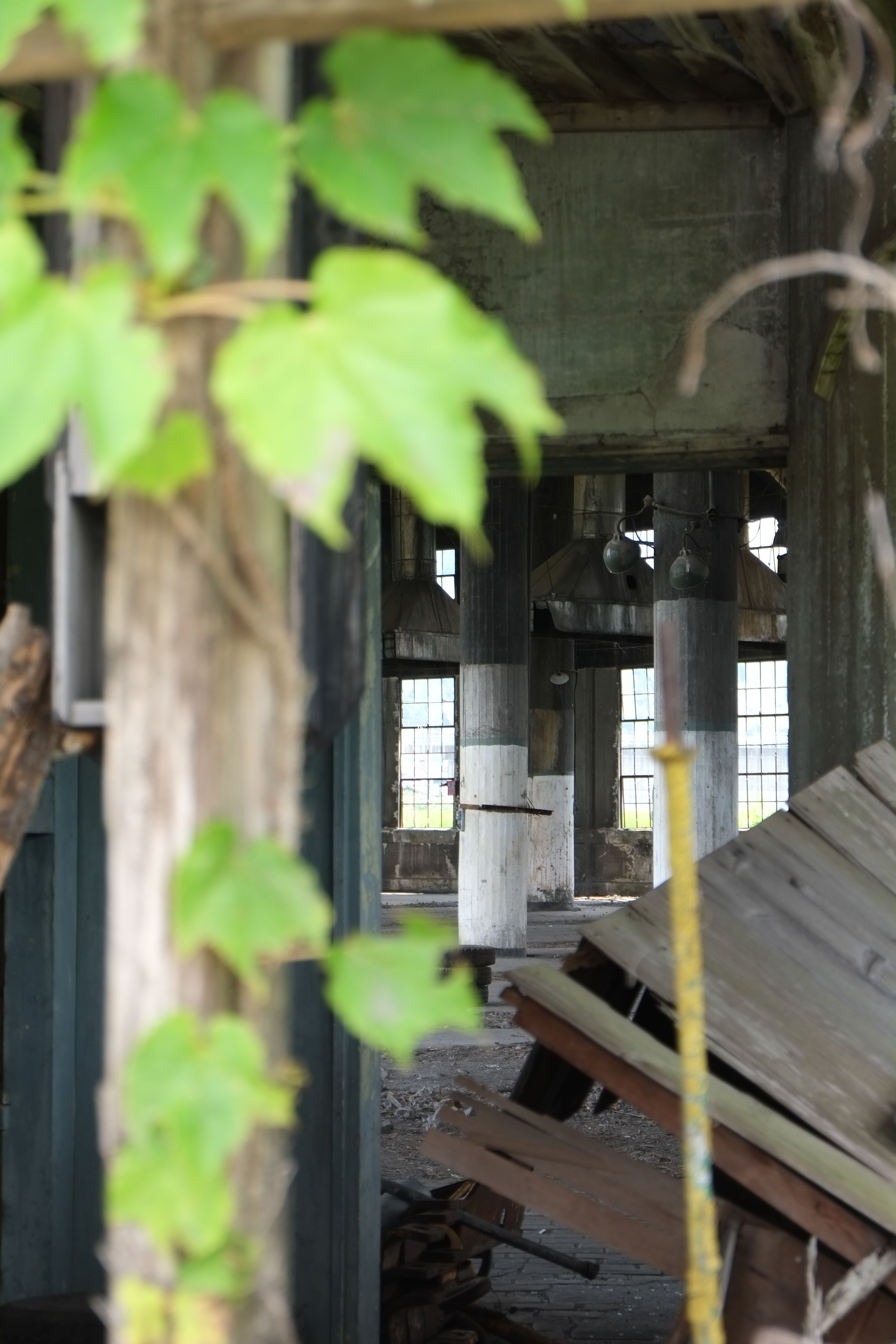 X-Pro1 / 1/58秒 / F5.6 / 0EV / ISO200 / 絞り優先AE / WB：オート / 50mm