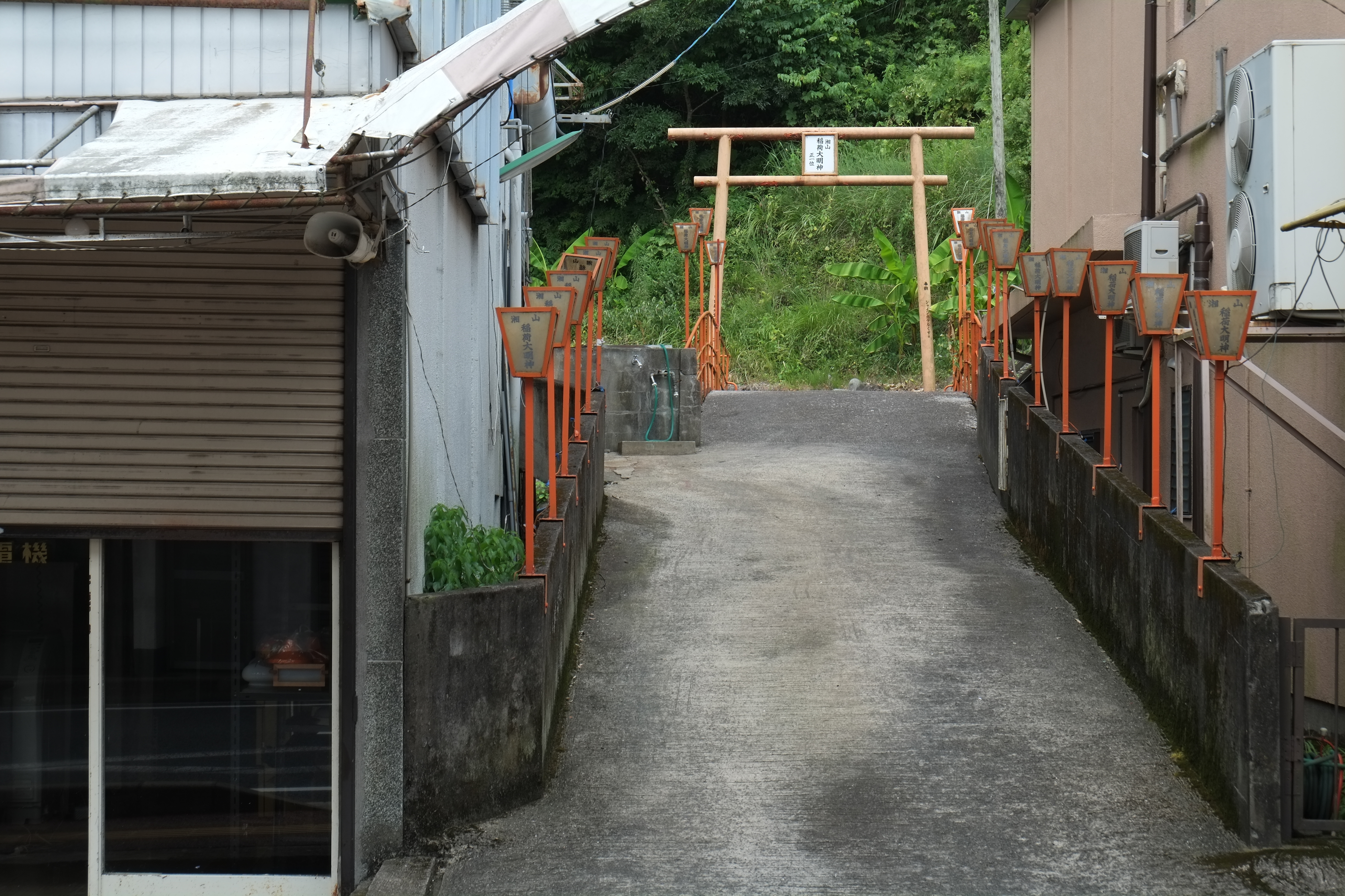 X-Pro1 / 1/120秒 / F8 / 0EV / ISO200 / 絞り優先AE / WB：オート / 50mm