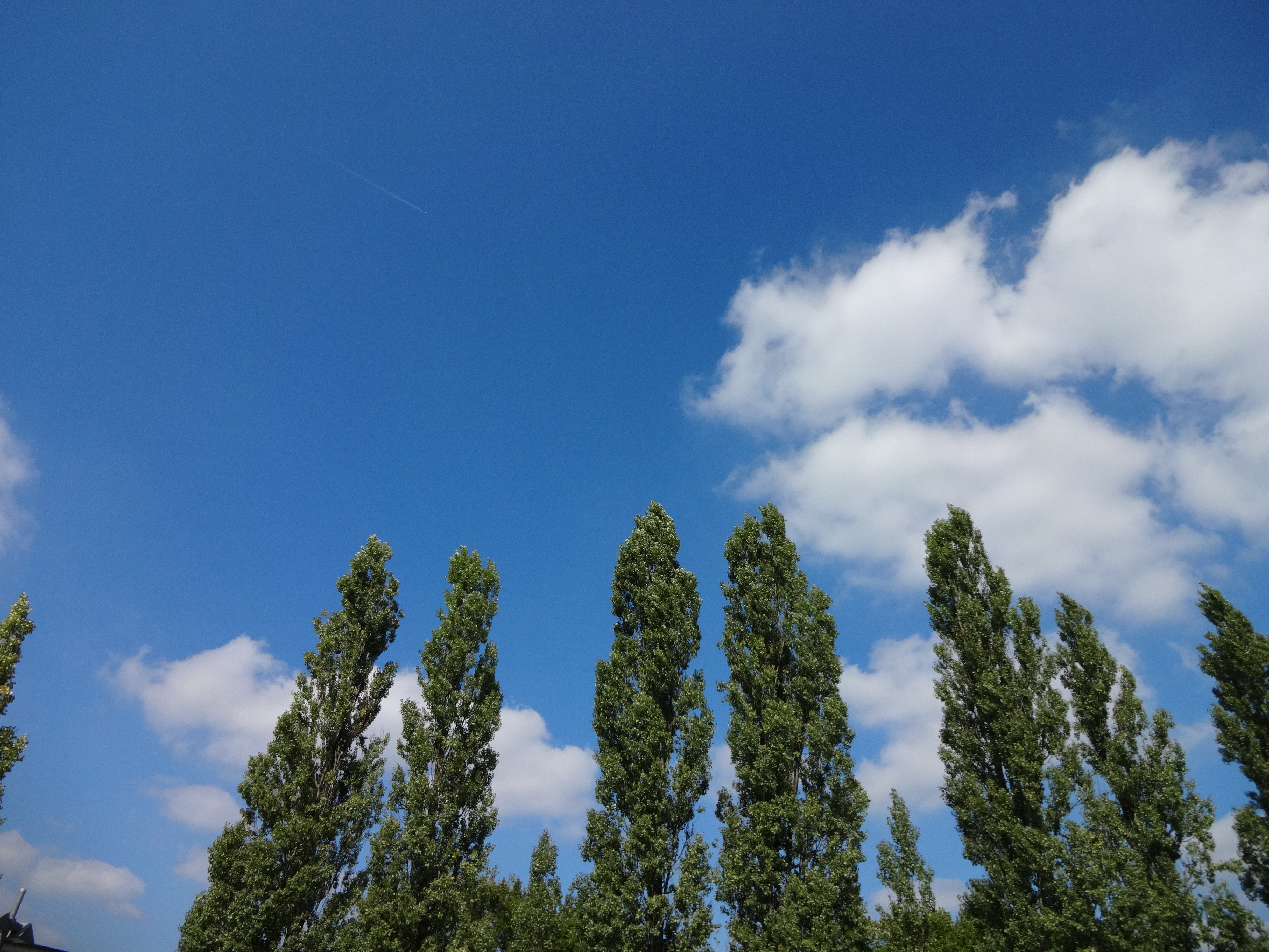 DSC-QX10 / 1/1250秒 / F3.3 / 0EV / ISO100 / オート / WB：オート / 4.4mm