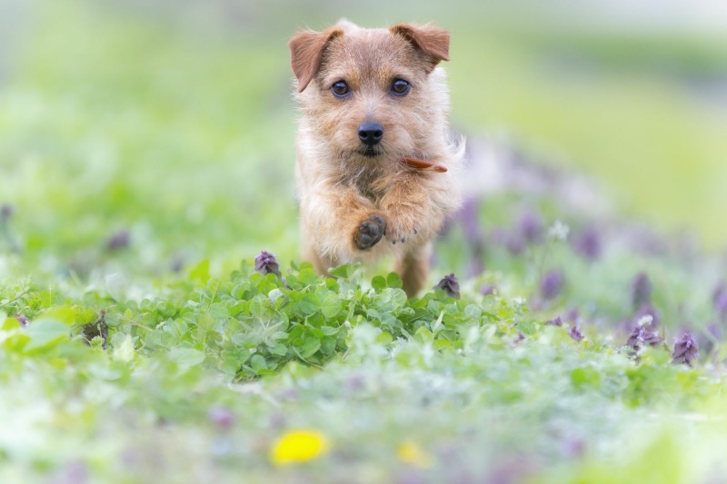 撮影：中村陽子さん