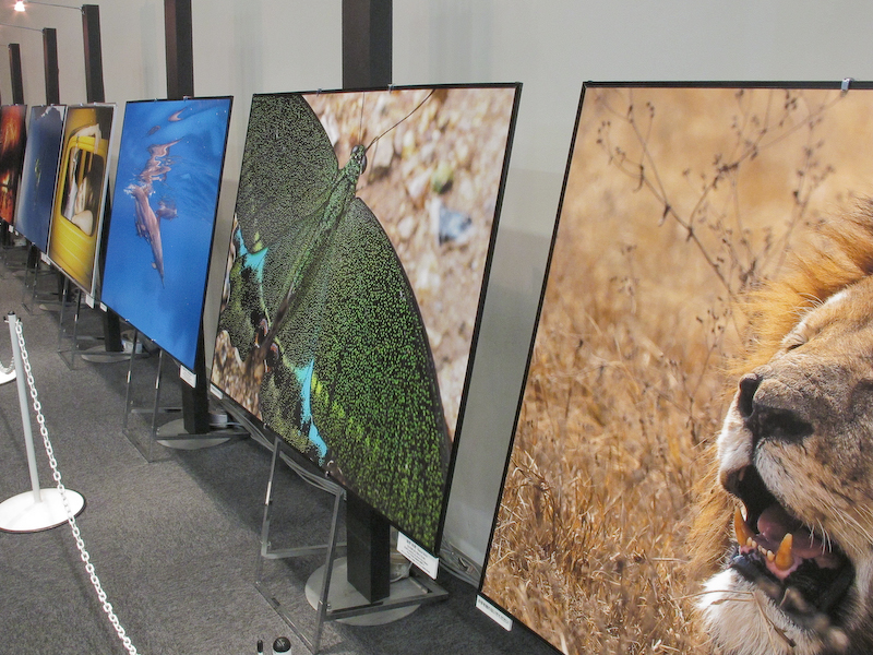 E-M1の大判のプリントも鑑賞できる。