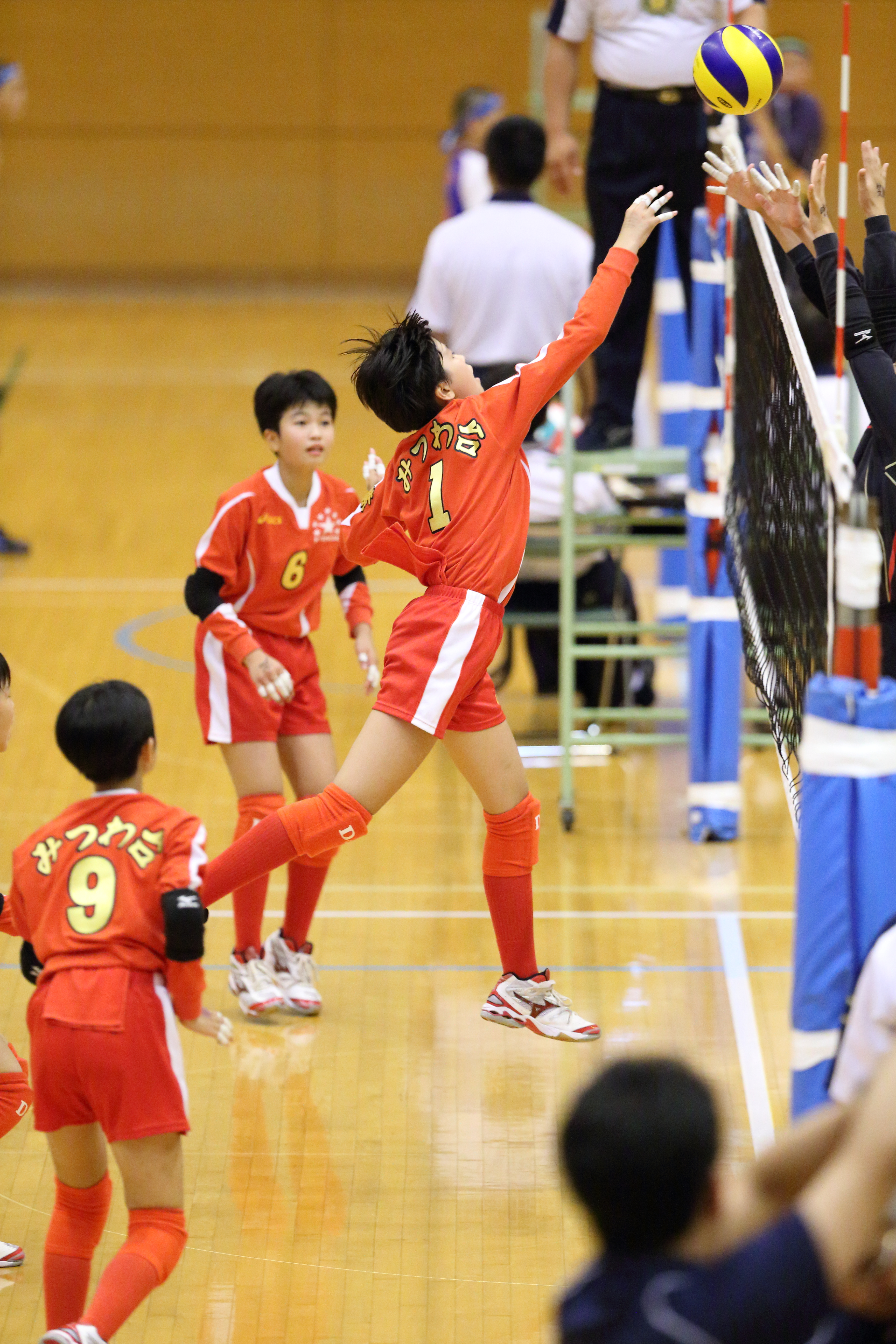 EOS-1D X / 1/1000秒 / F3.2 / +0.7EV / ISO10000 / 絞り優先AE / WB：2,700K / 300mm