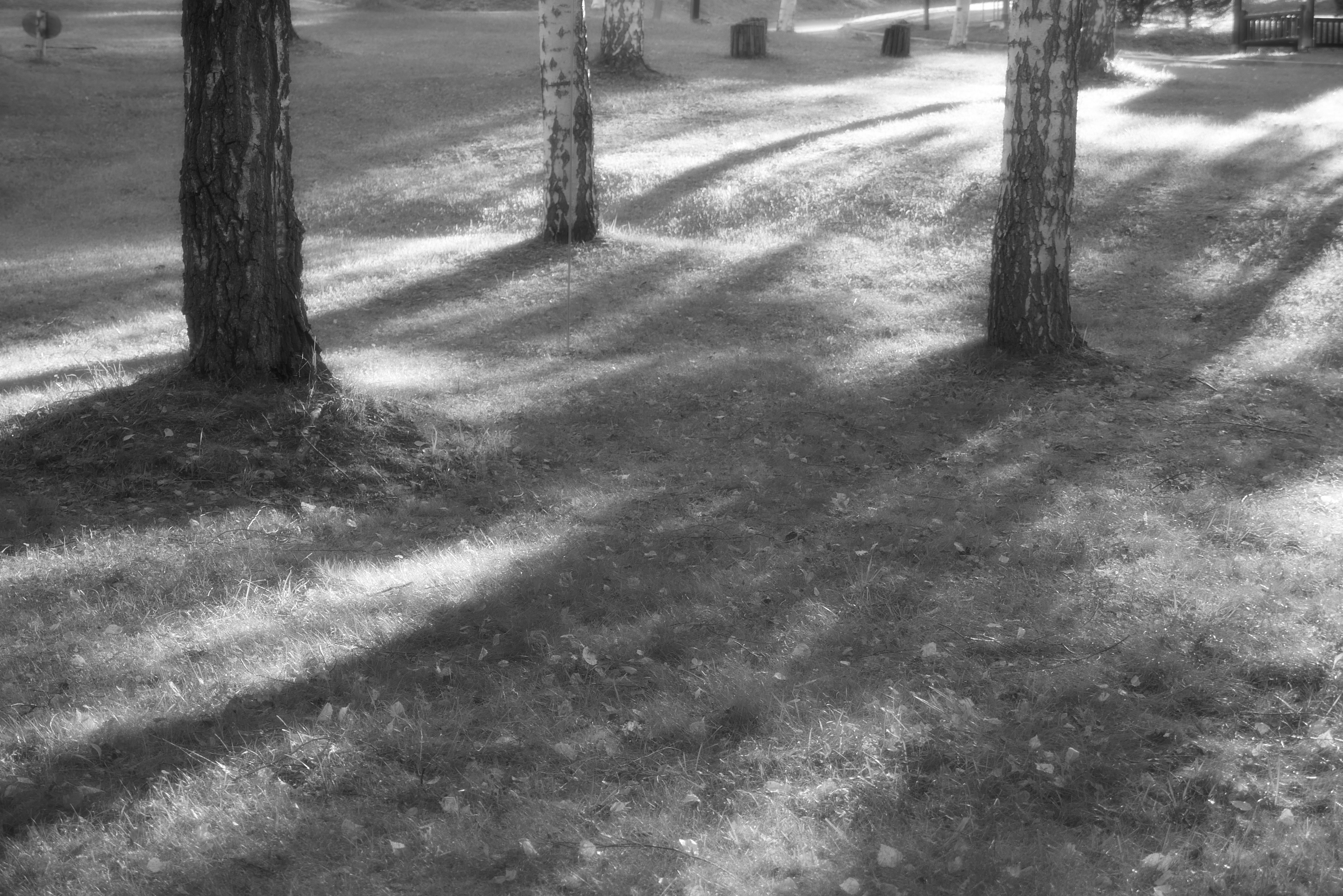 シルキーモノクローム