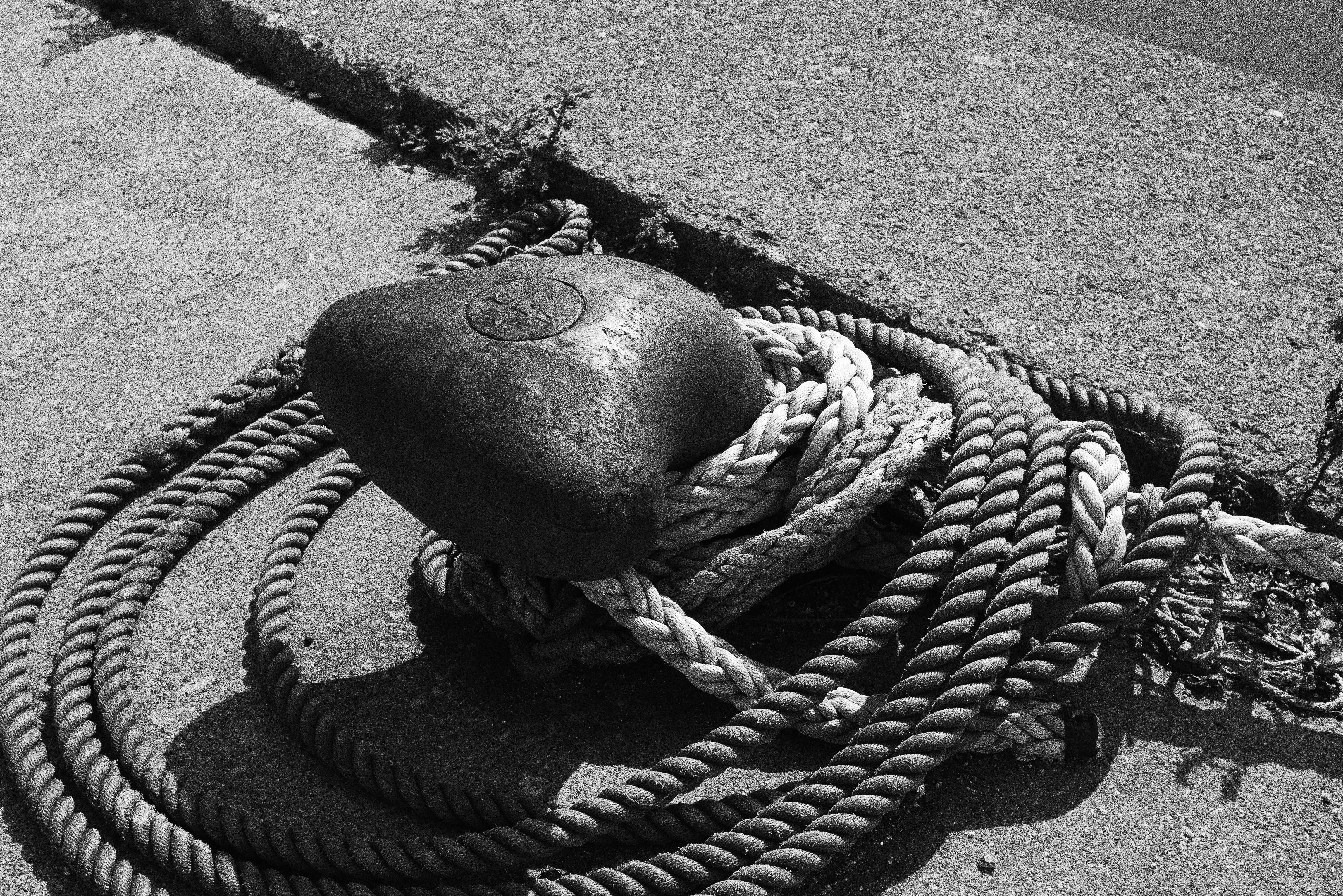 ラフモノクローム