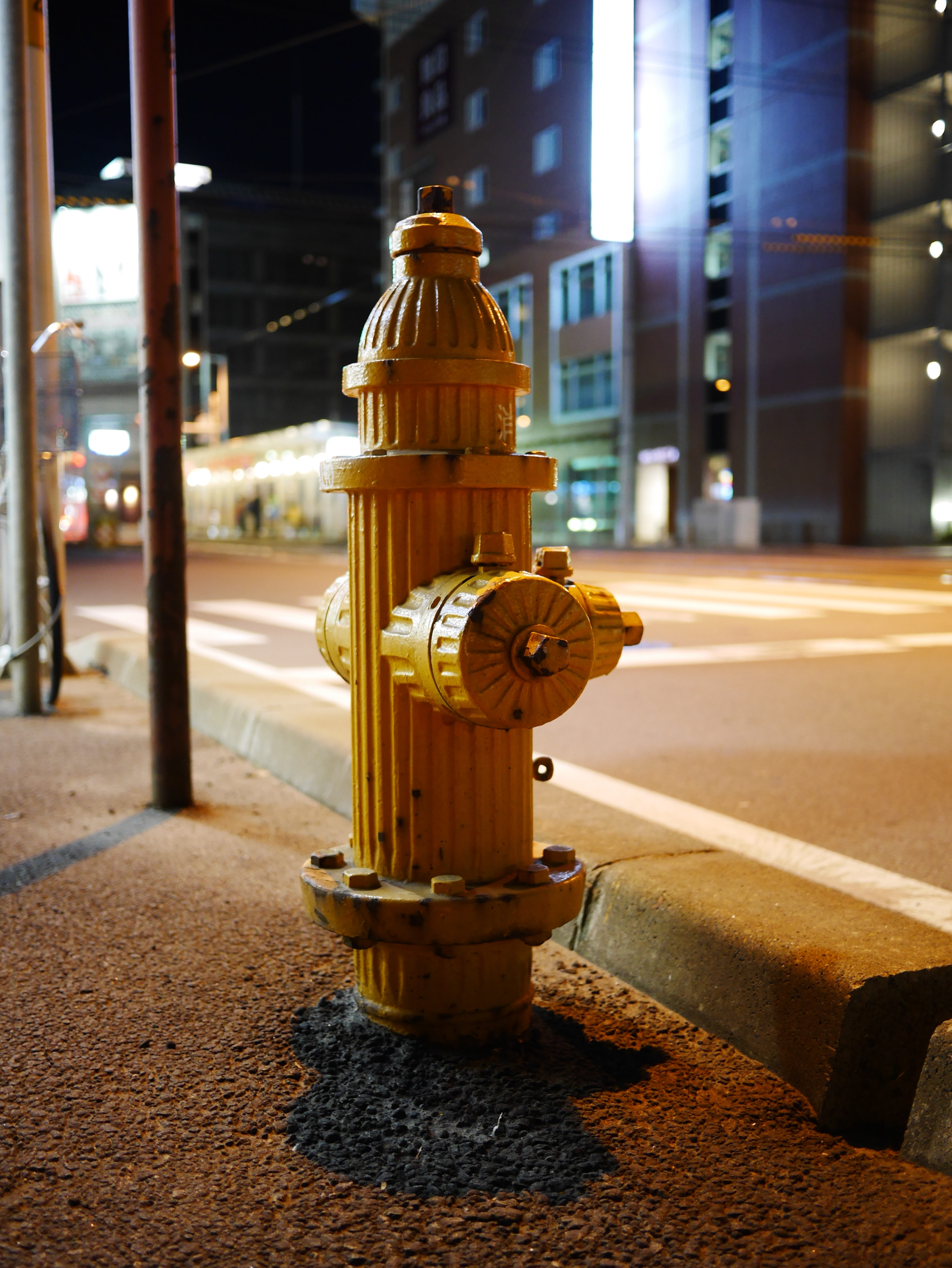 DMC-GX7 / LUMIX G 20mm F1.7 II ASPH. / 3,448×4,592 / ISO800 / F1.7 / 1/10秒 / 20mm（40mm相当）