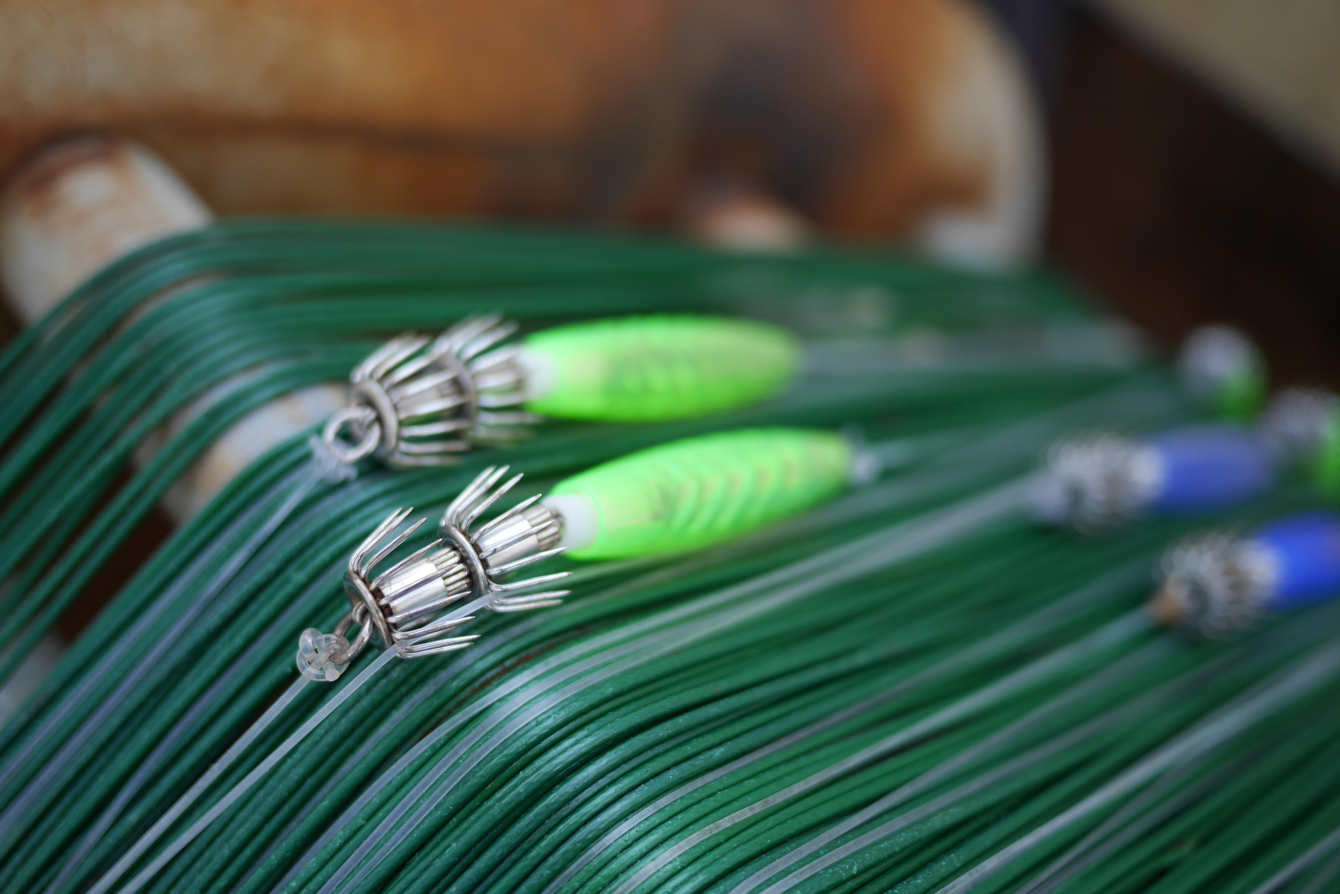 DMC-GX7 / LUMIX G 20mm F1.7 II ASPH. / 4,592×3,064 / ISO200 / F1.7 / 1/1,600秒 / 20mm（41mm相当）